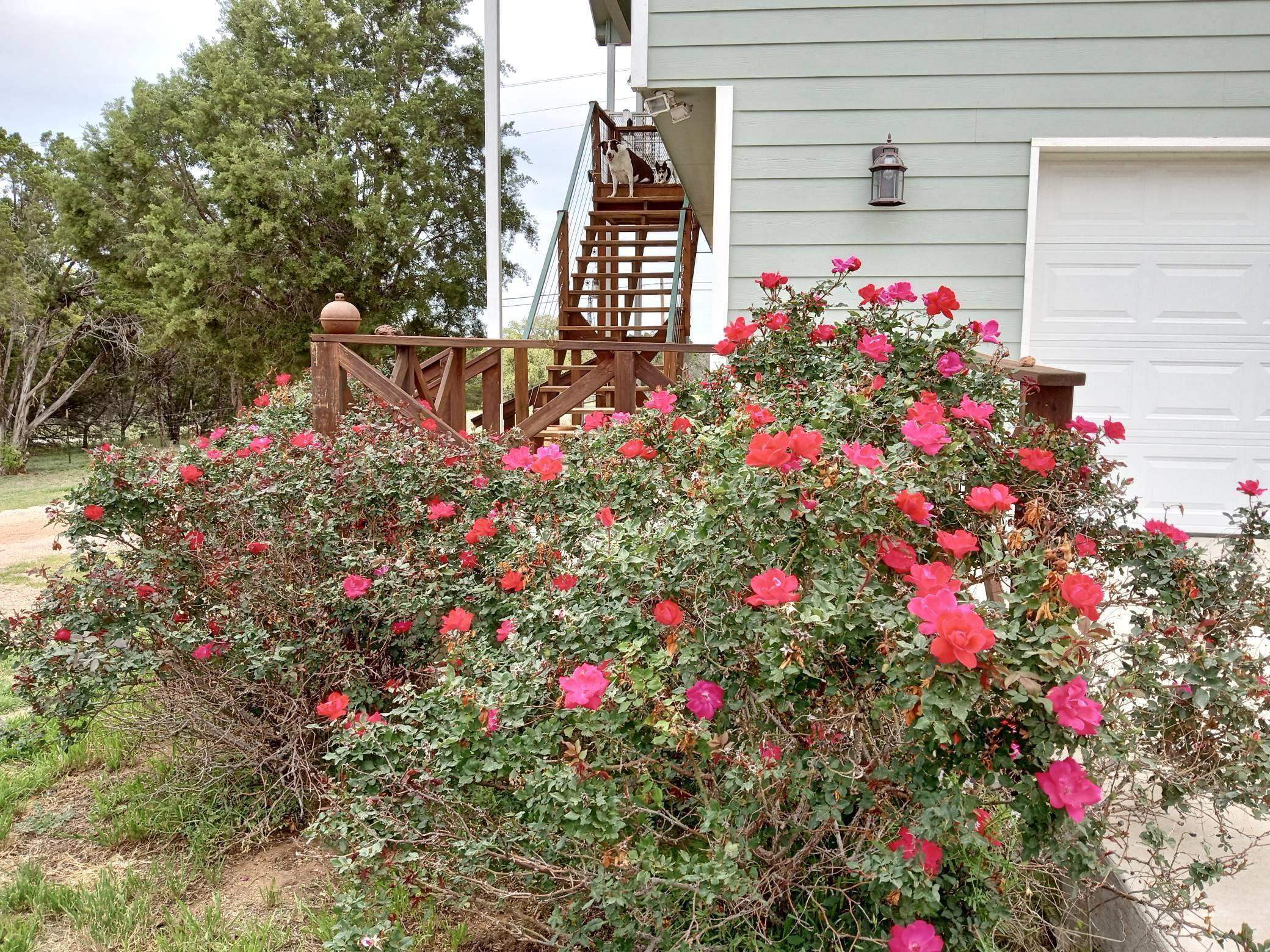 247 Roselea Drive