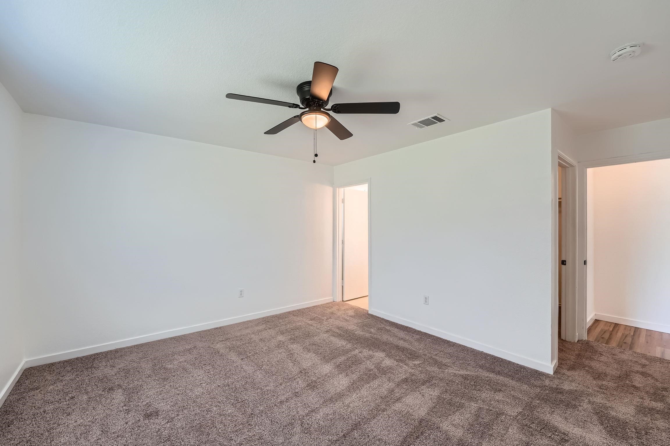 12404 Campana Drive