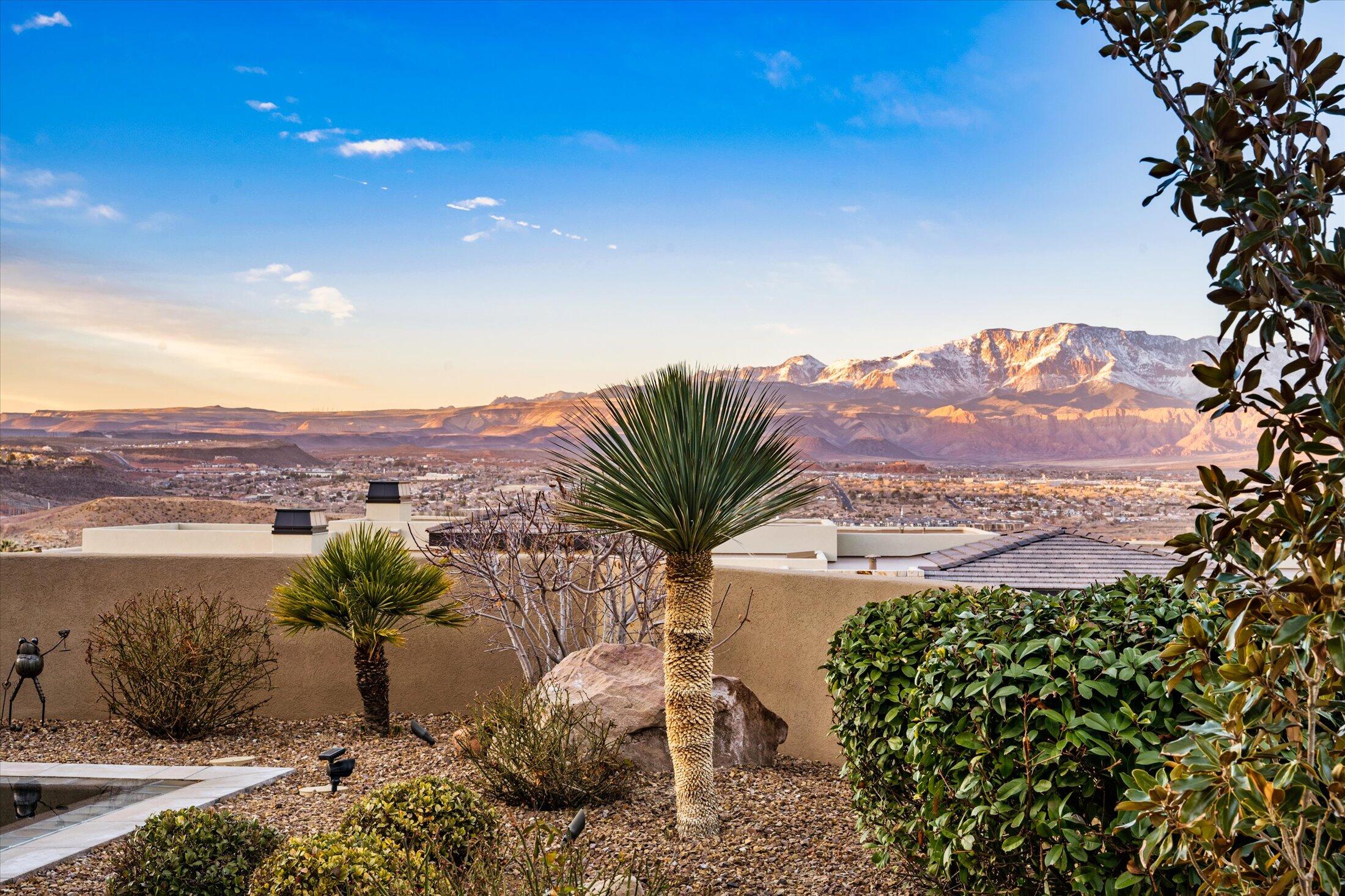 1767 Rhyolite LN