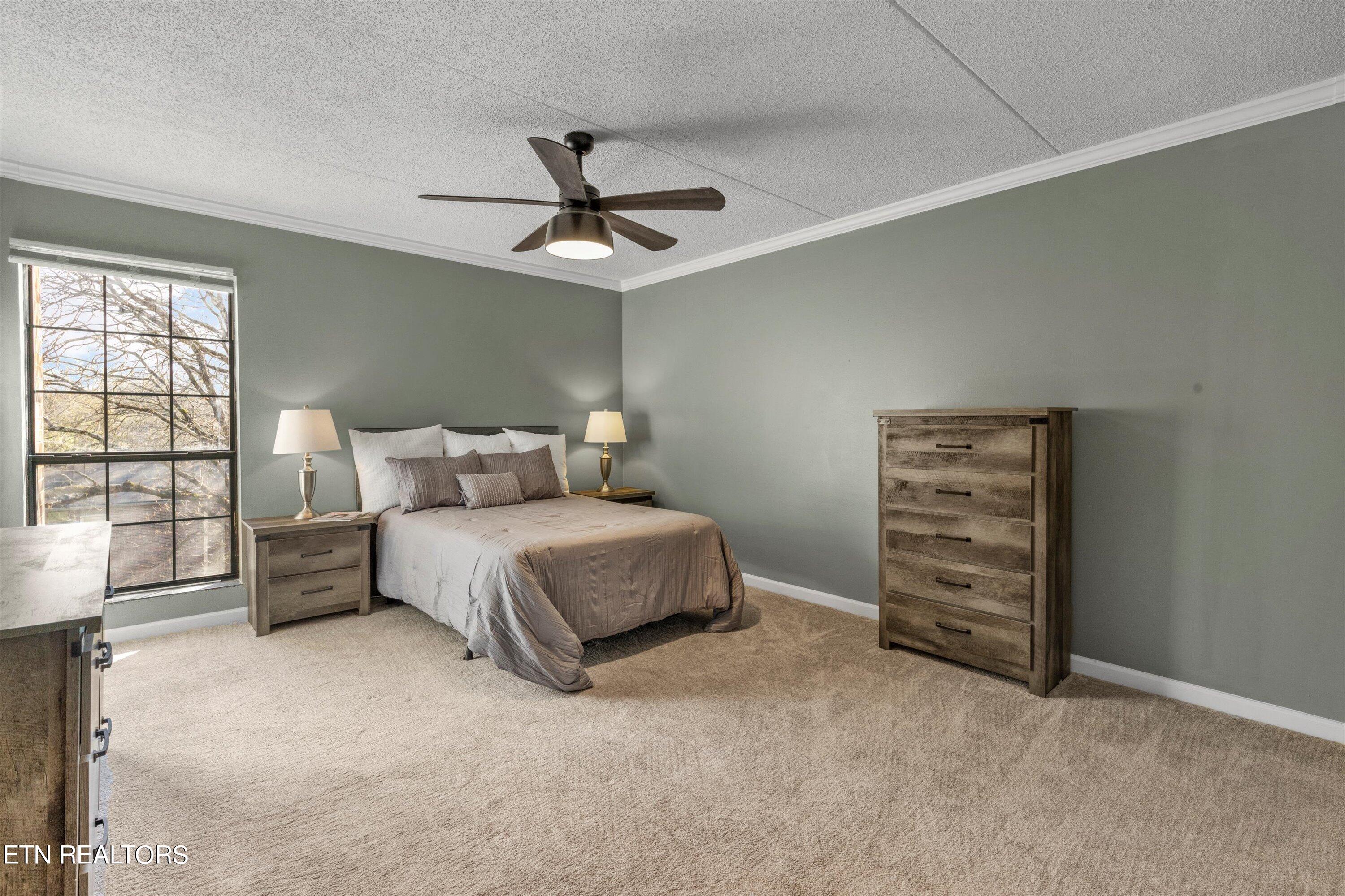 426 Dublin Drive, 206