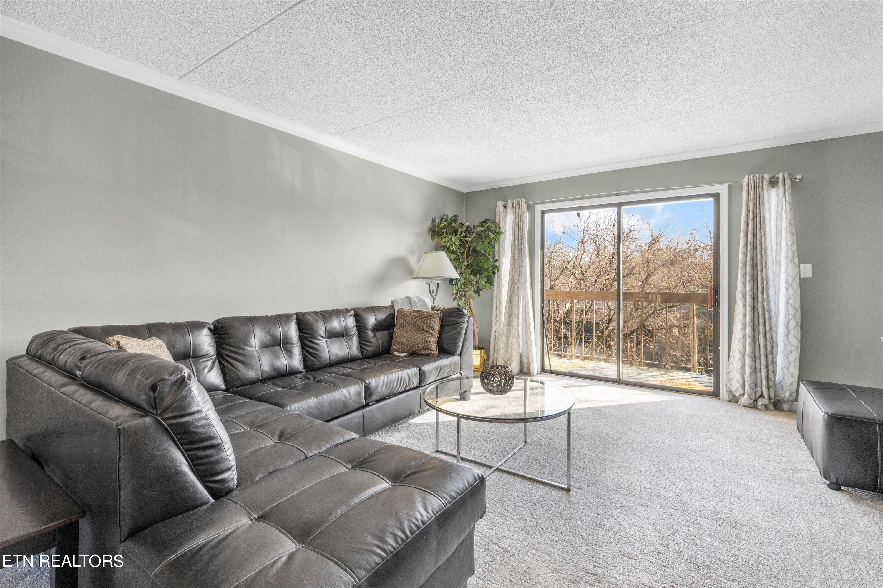 426 Dublin Drive, 206