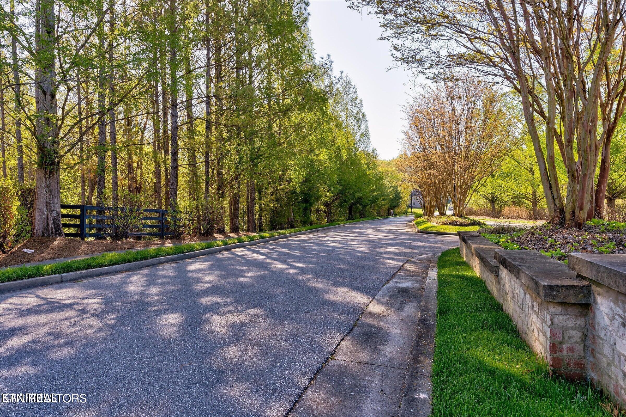 409 Turkey Cove Lane