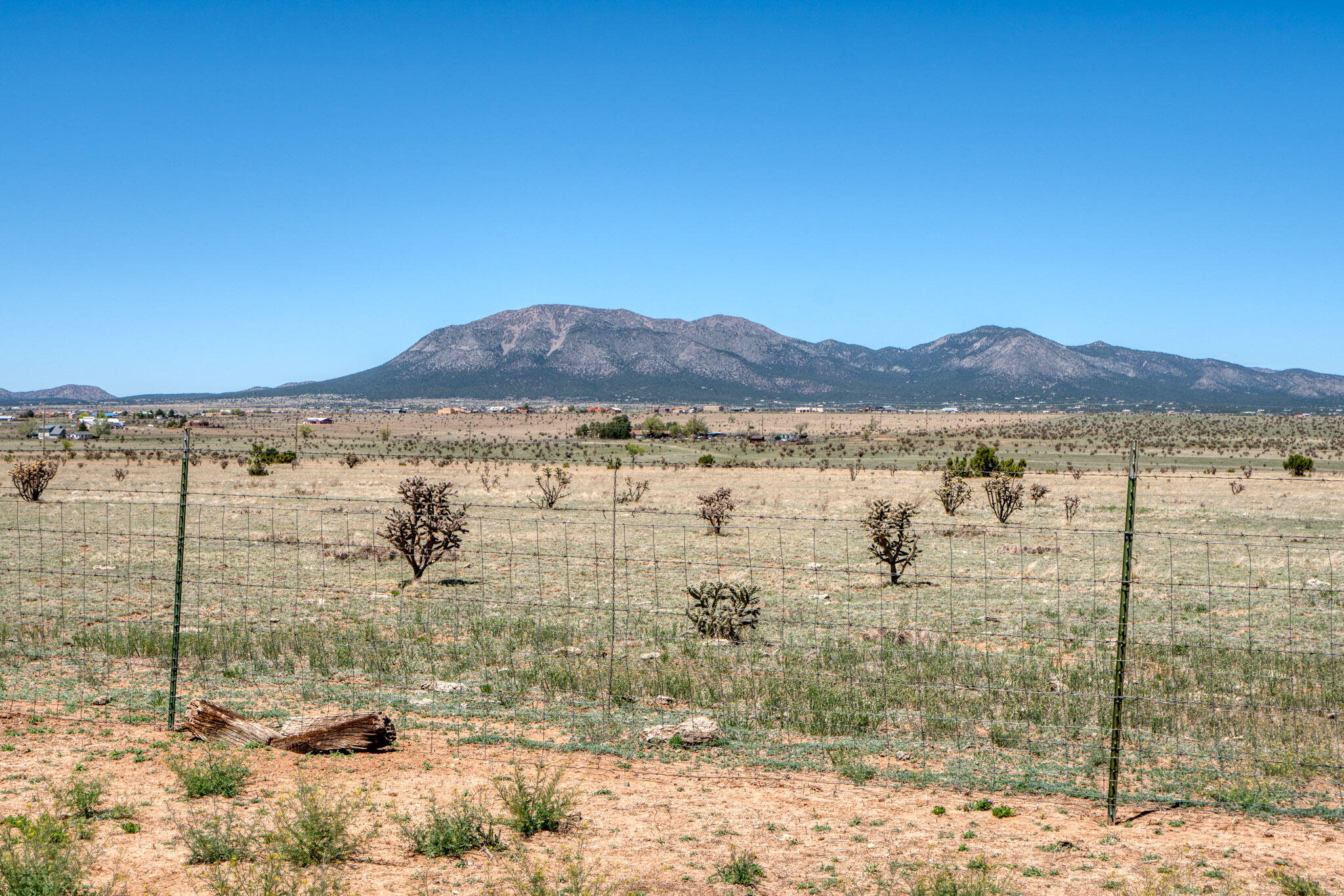 55 Evening Star Loop