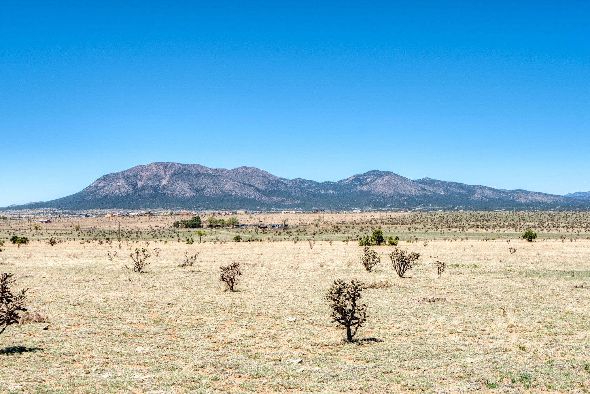 55 Evening Star Loop