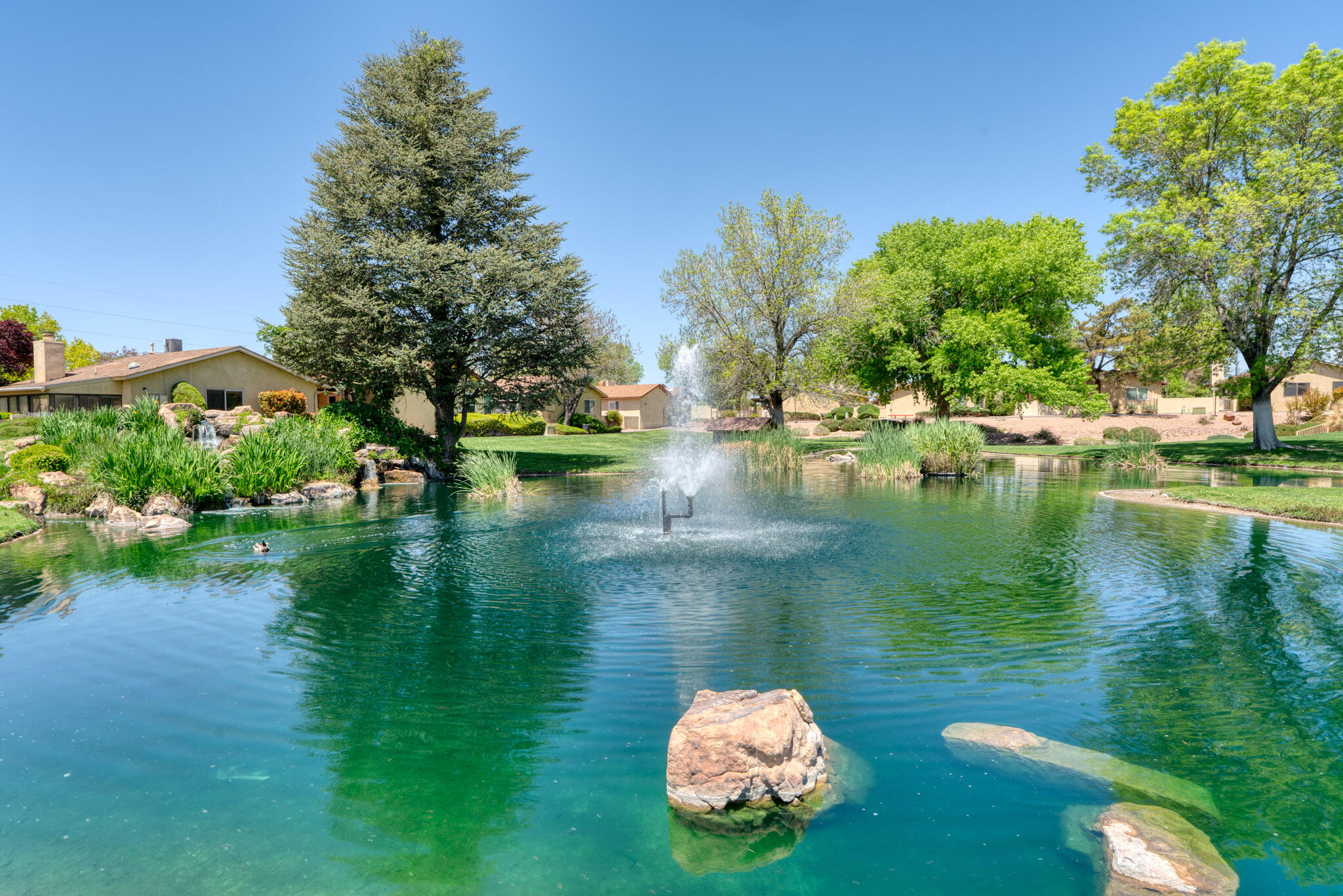 10505 LAGRANGE PARK Drive NE