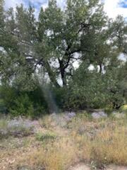 Co Rd 120