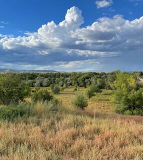 Co Rd 120