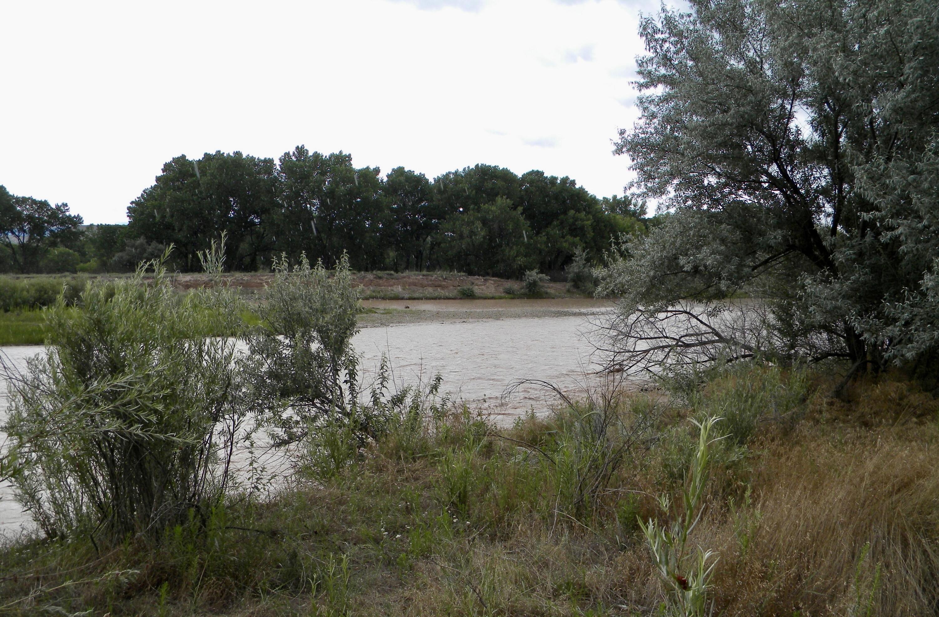 Co Rd 120