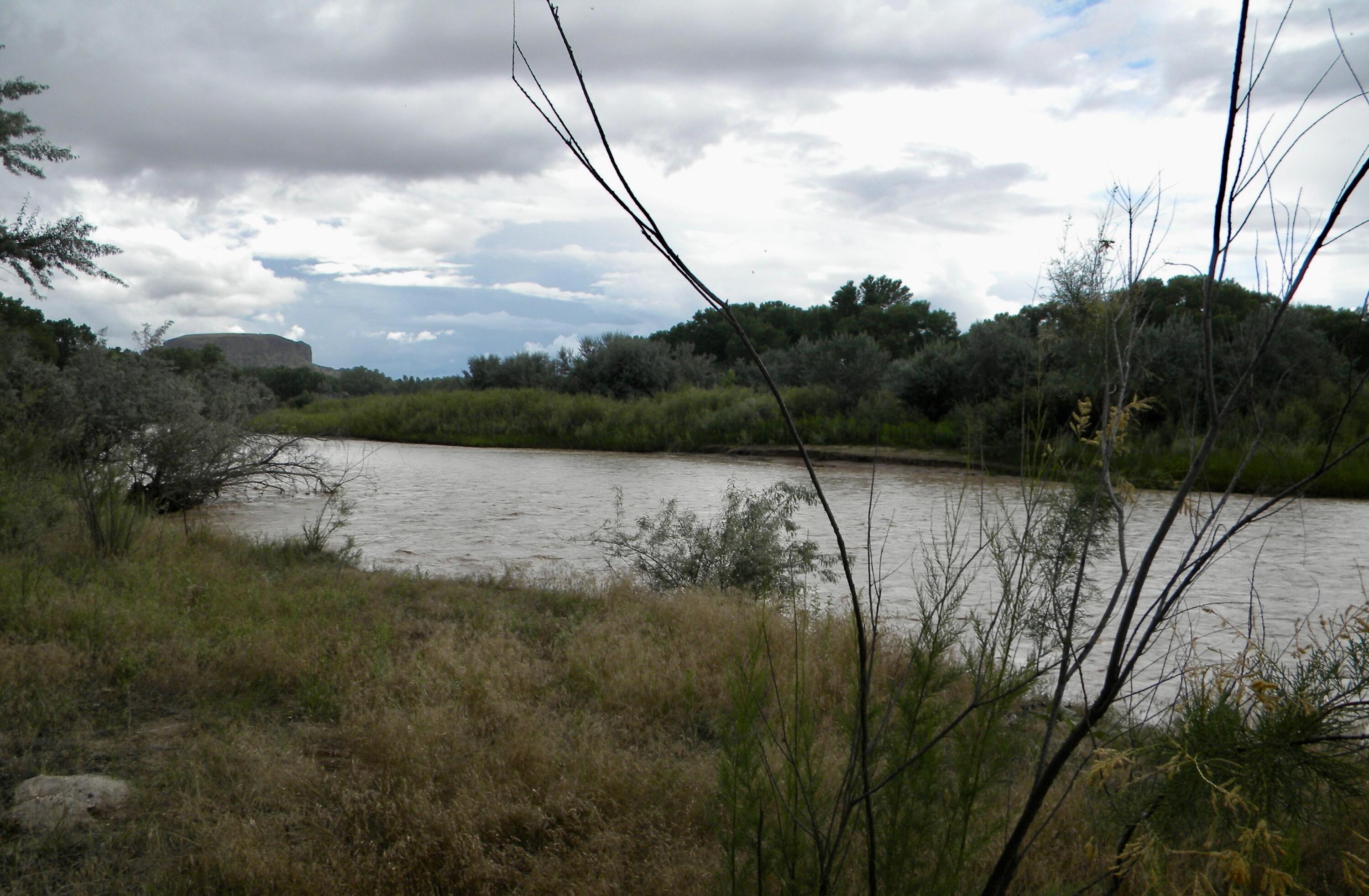 Co Rd 120
