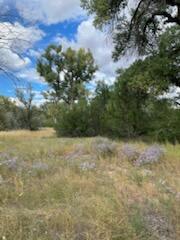 Co Rd 120