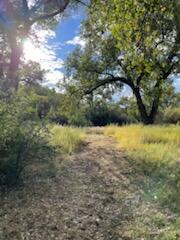 Co Rd 120