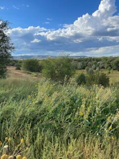 Co Rd 120