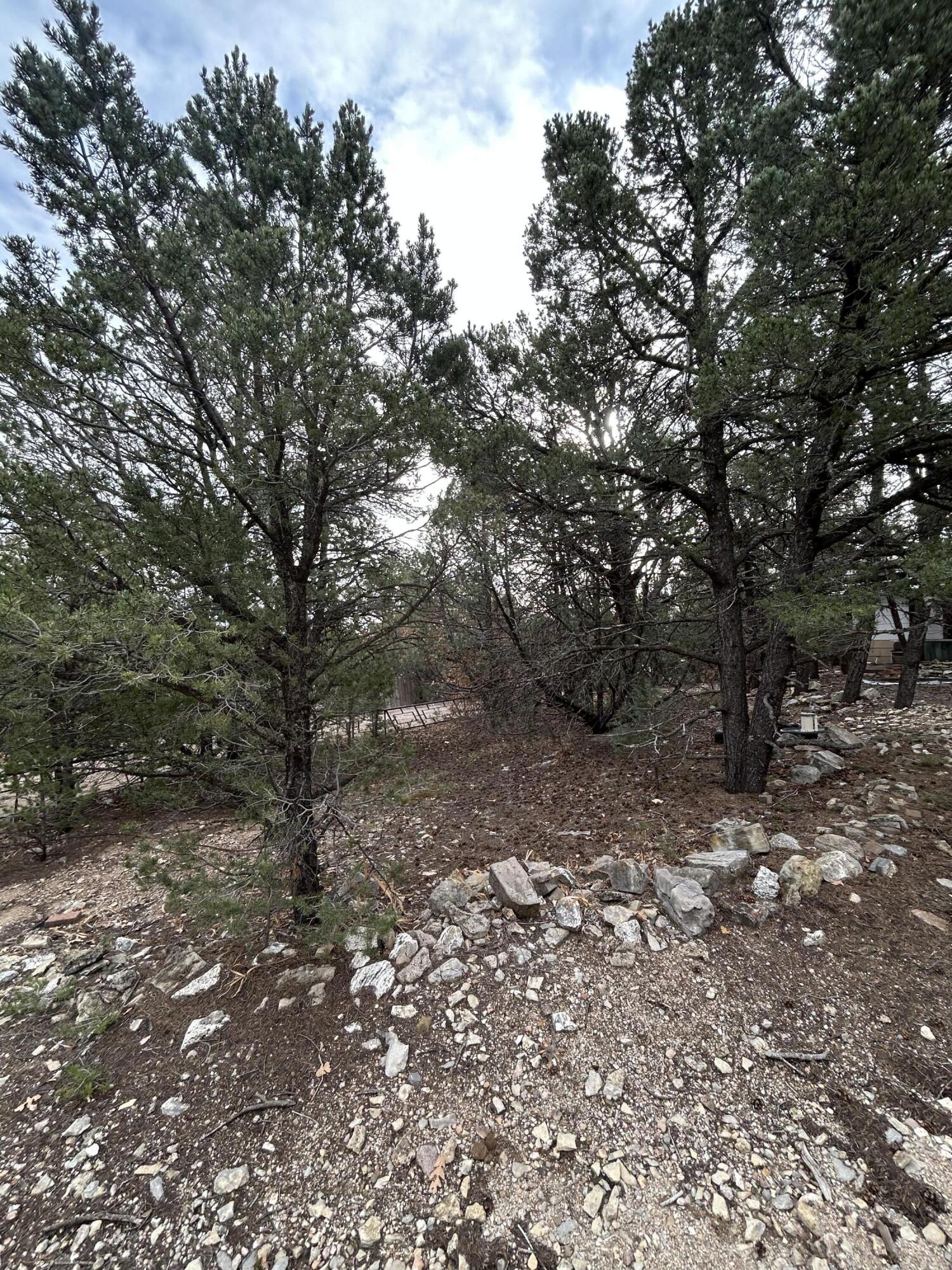 20 Millionaire Circle