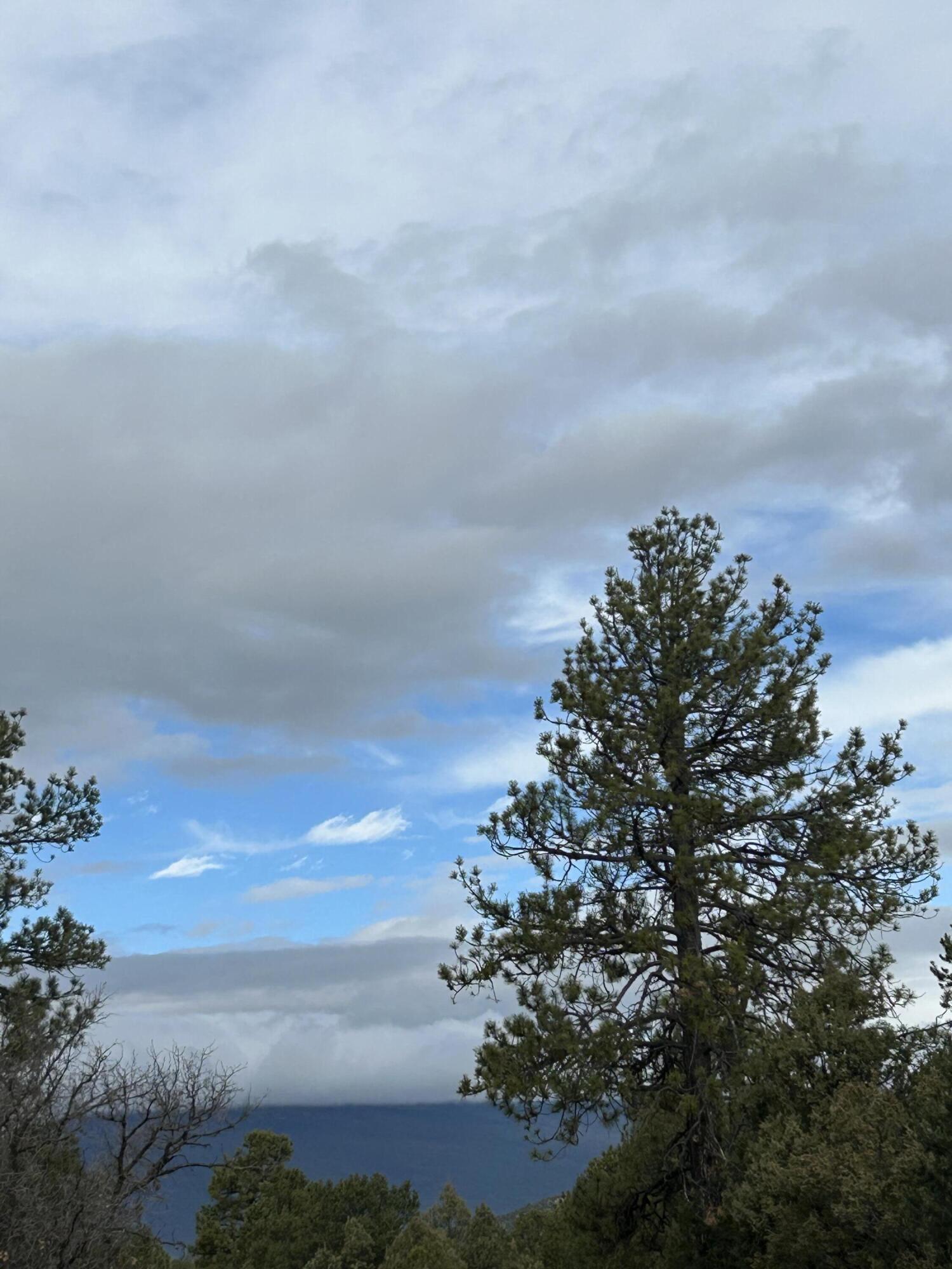 20 Millionaire Circle