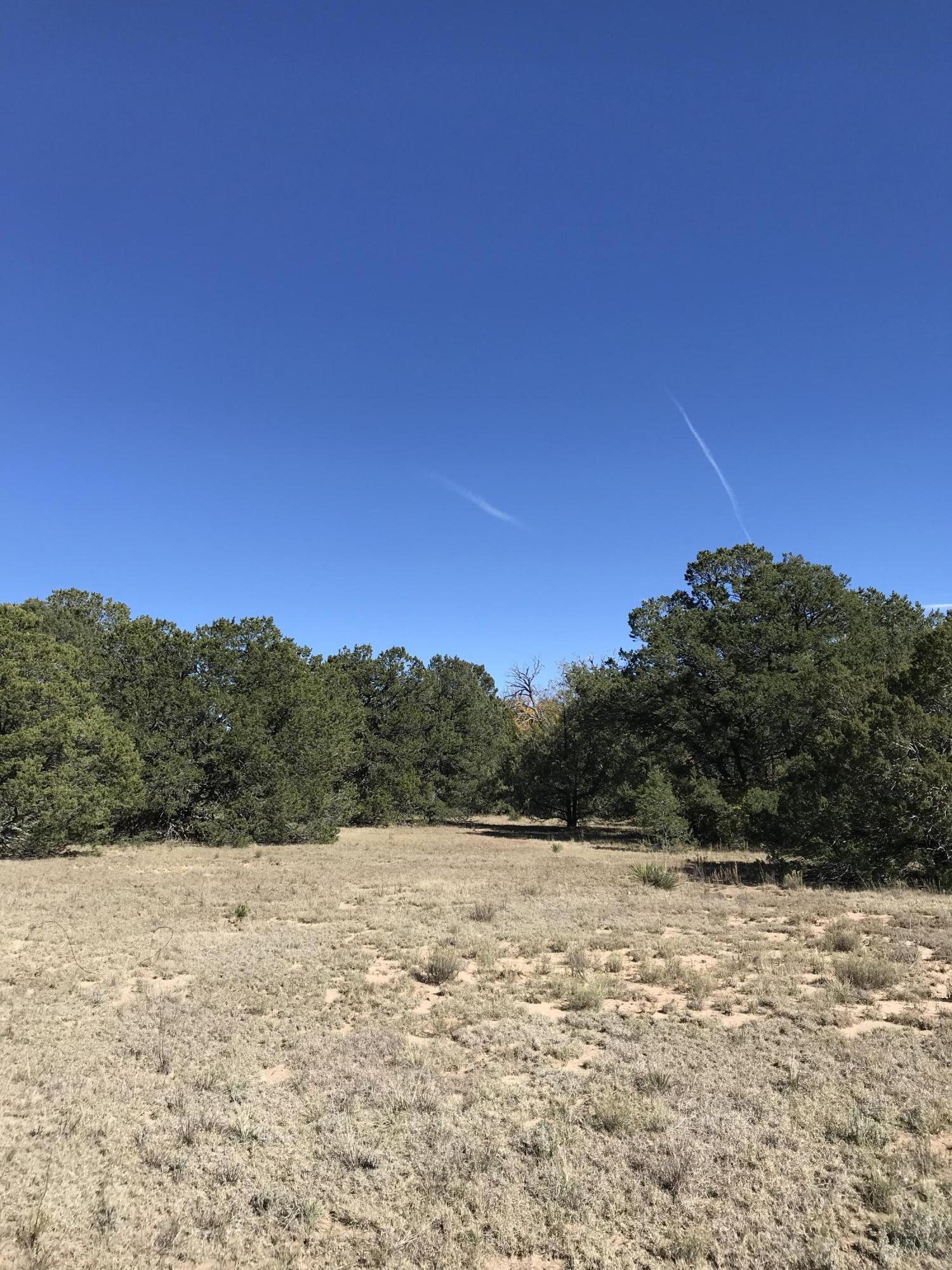 16 TR A-1,2,3&4land of Augustine Drive NE
