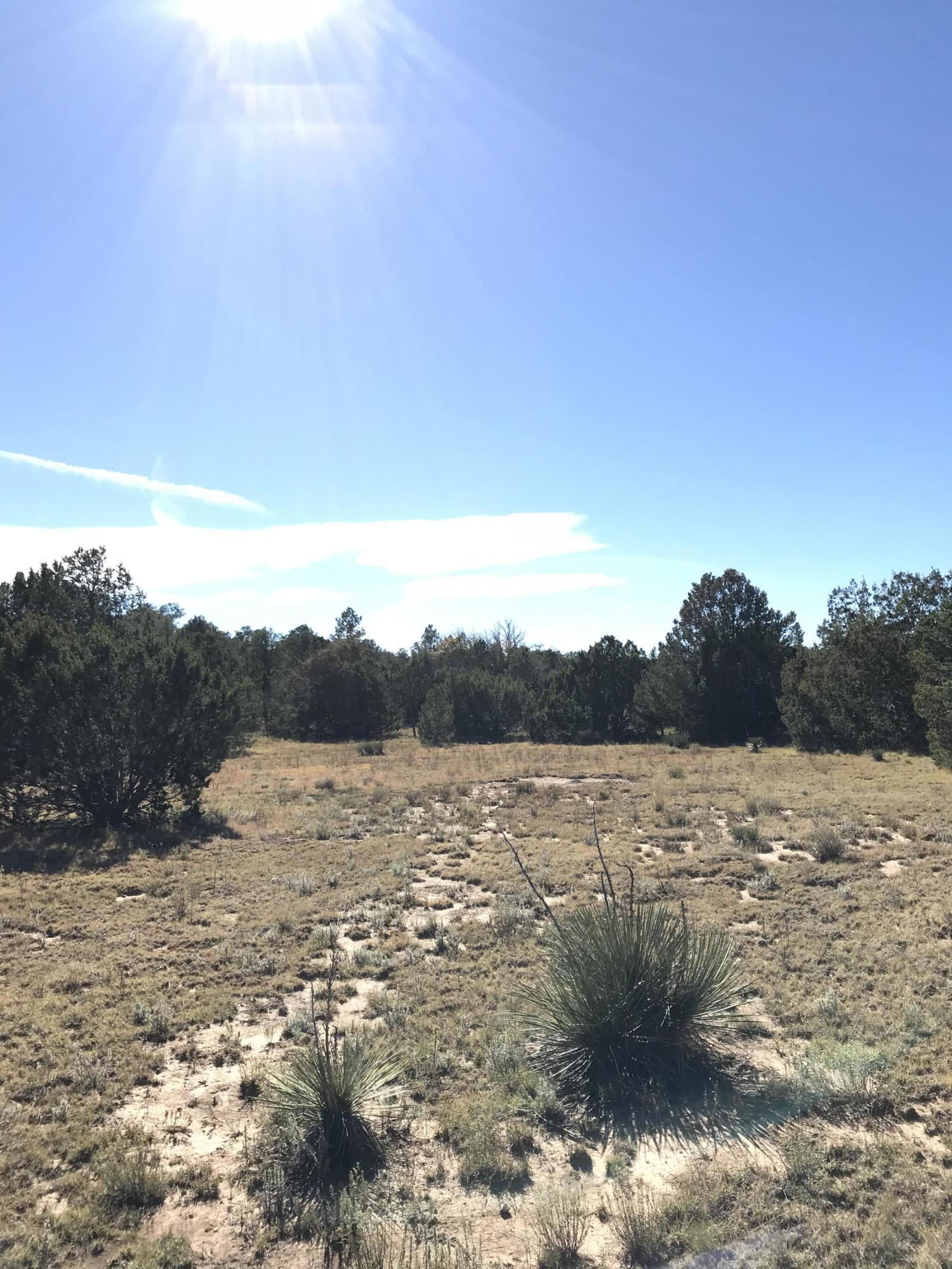 16 TR A-1,2,3&4land of Augustine Drive NE
