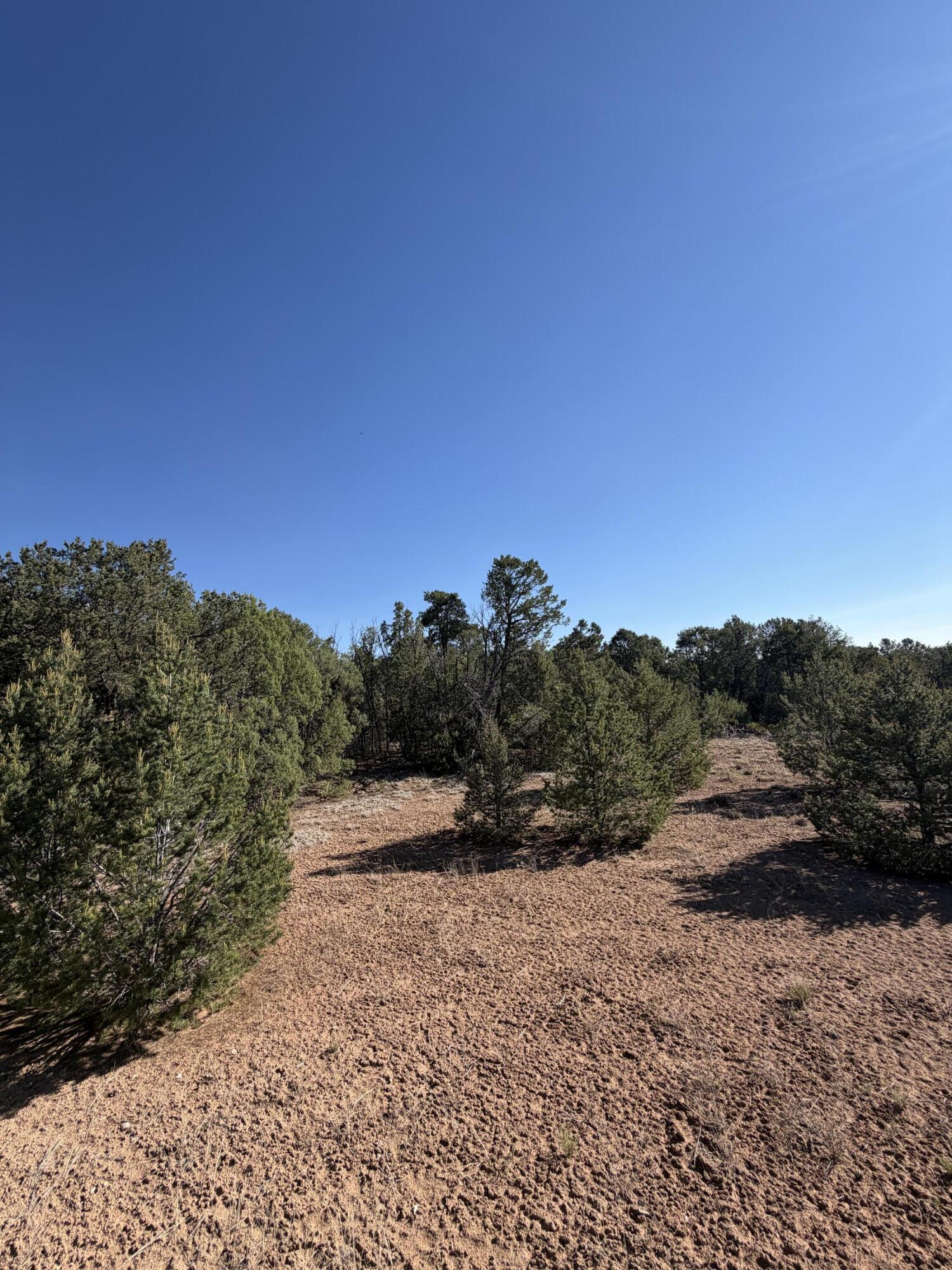 16 TR A-1,2,3&4land of Augustine Drive NE