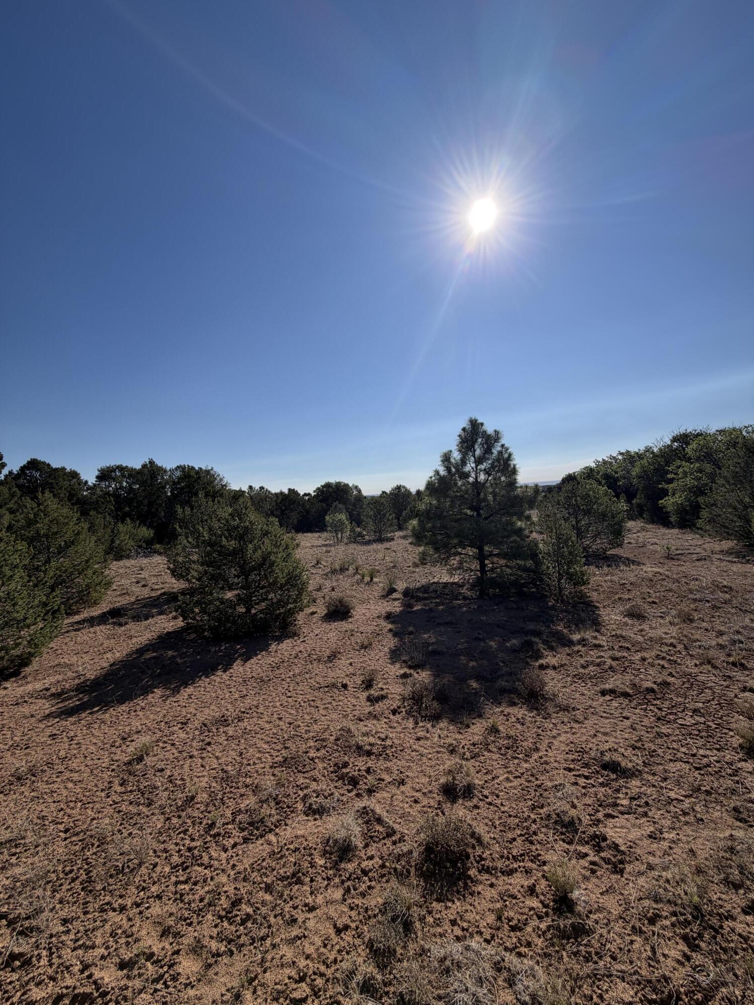 16 TR A-1,2,3&4land of Augustine Drive NE