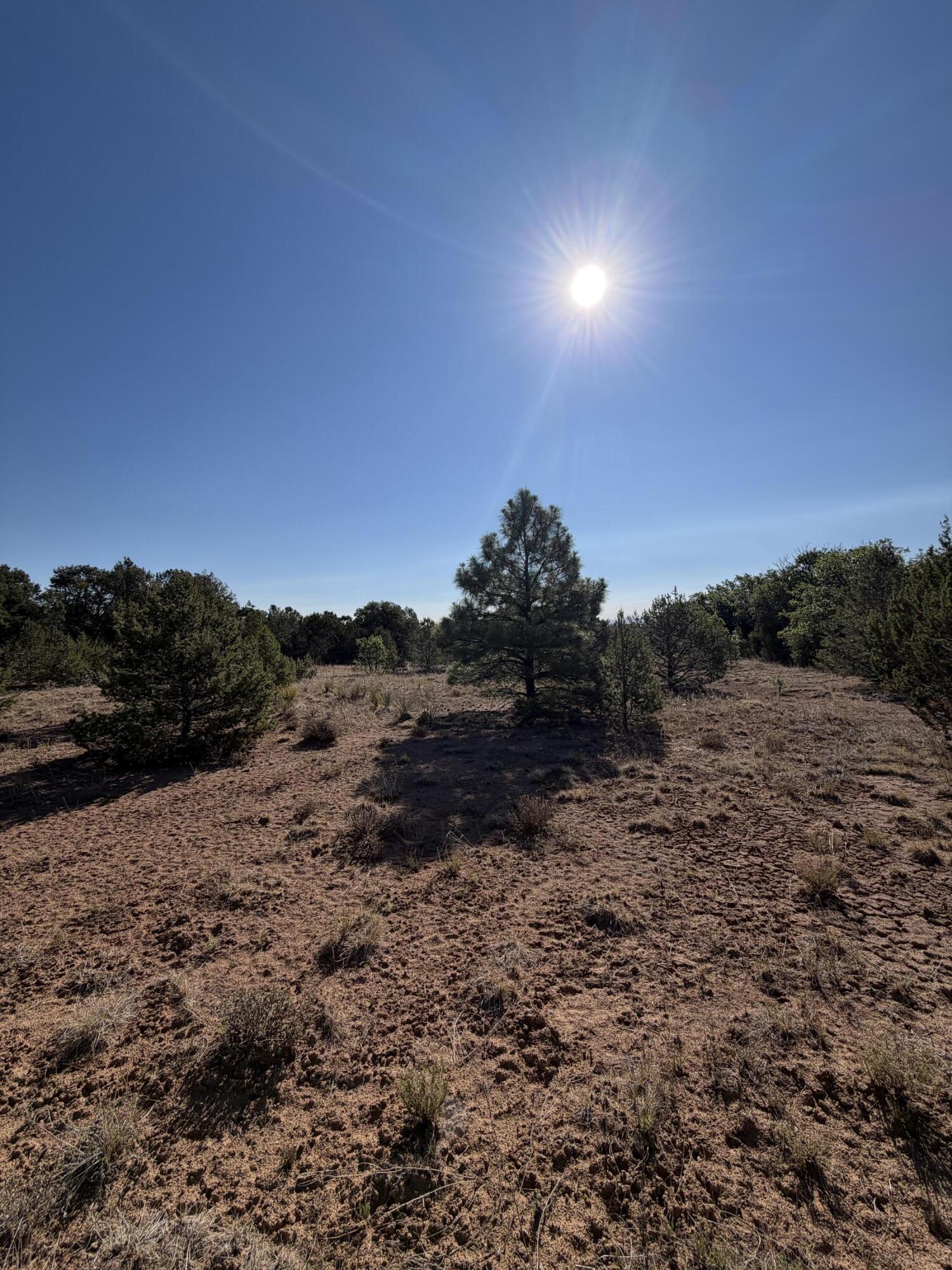 16 TR A-1,2,3&4land of Augustine Drive NE
