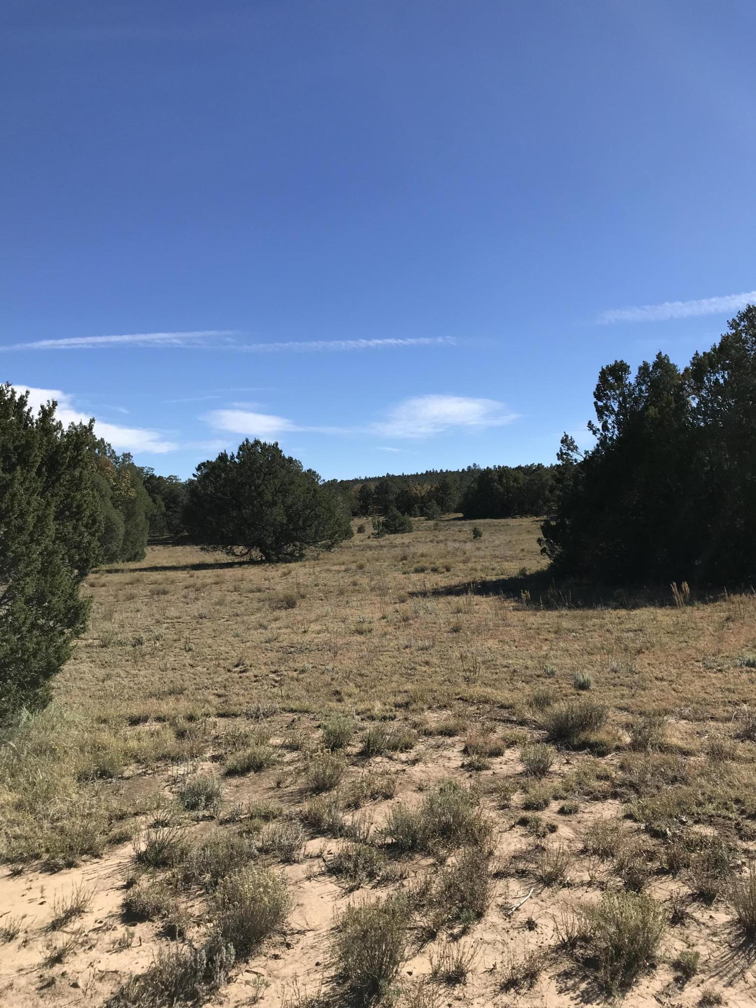 16 TR A-1,2,3&4land of Augustine Drive NE