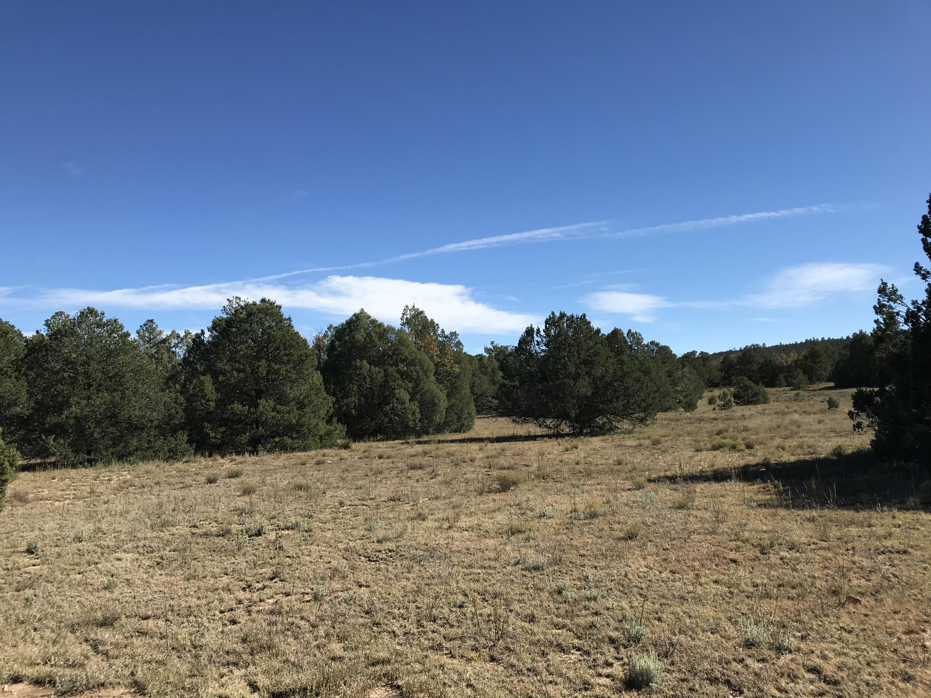 16 TR A-1,2,3&4land of Augustine Drive NE