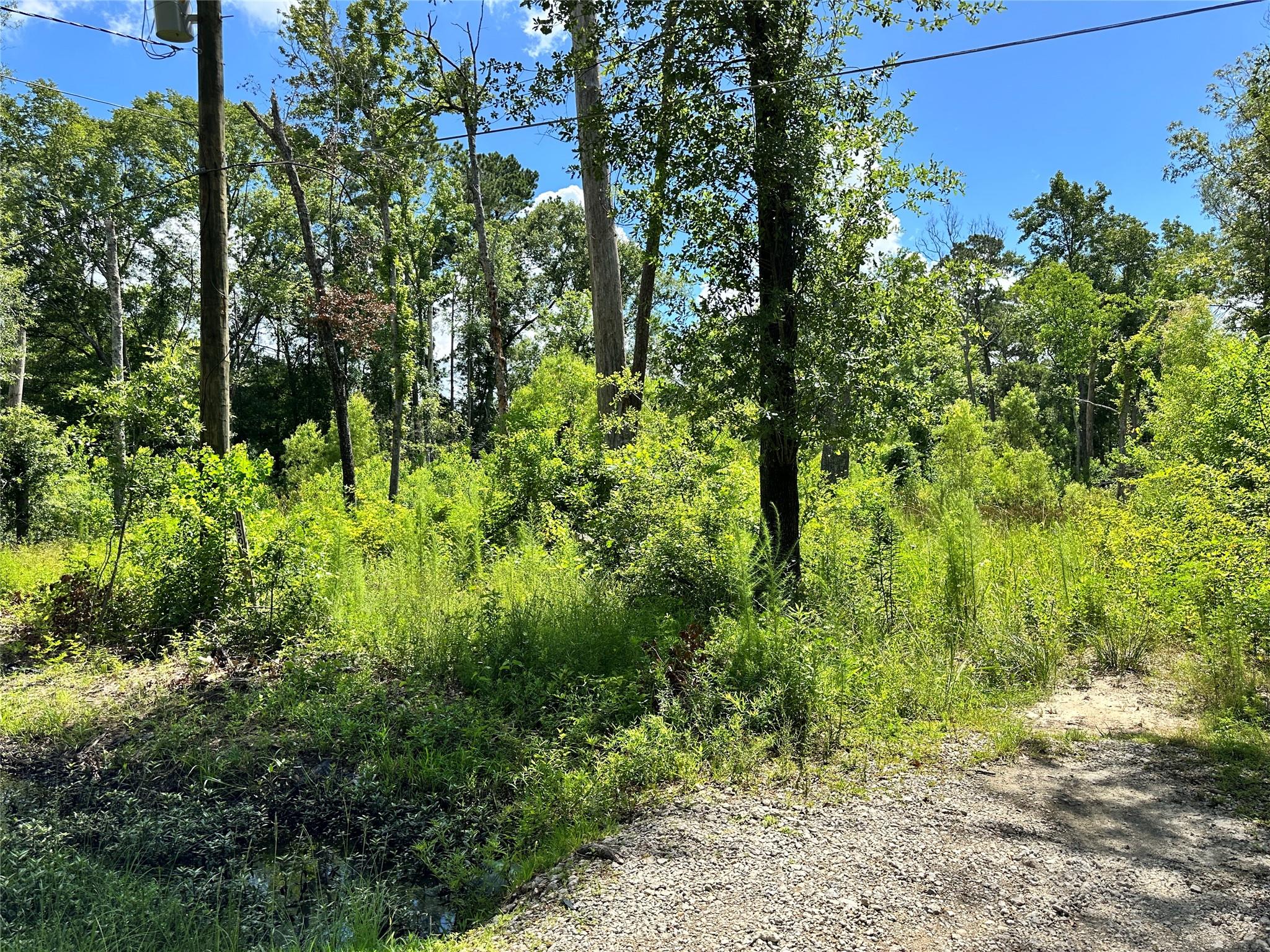 14301 Splenwood Drive