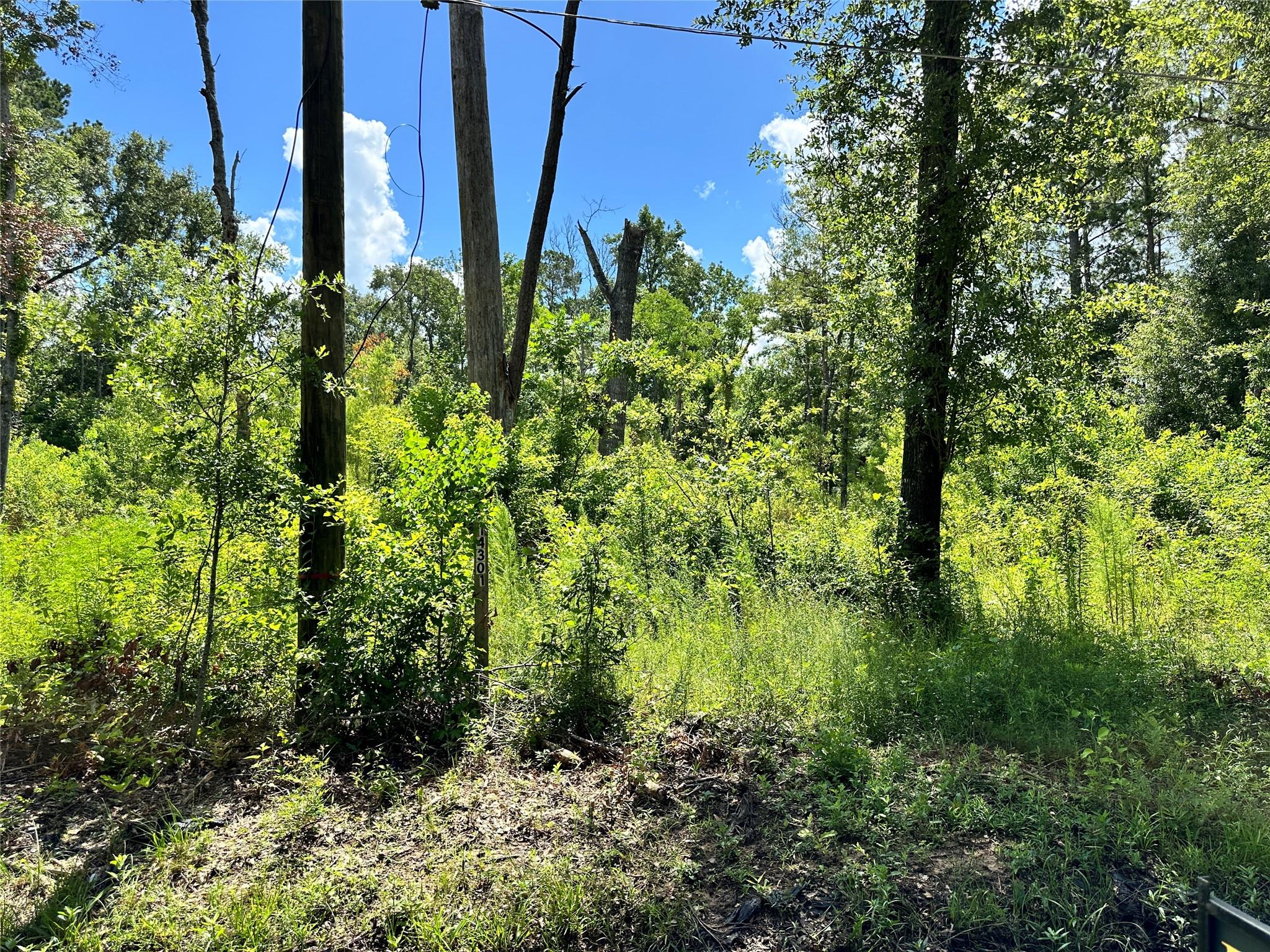 14301 Splenwood Drive