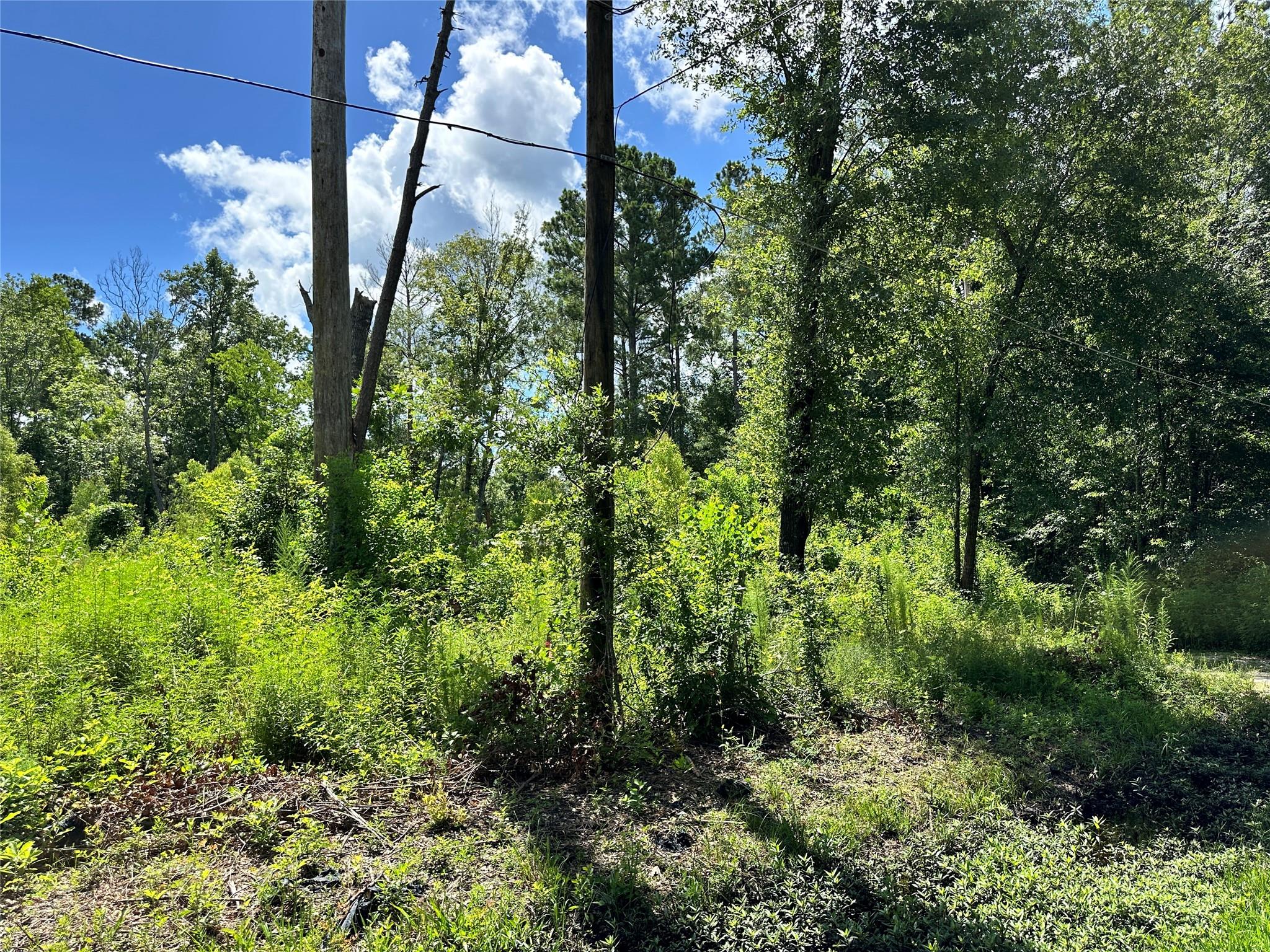 14301 Splenwood Drive