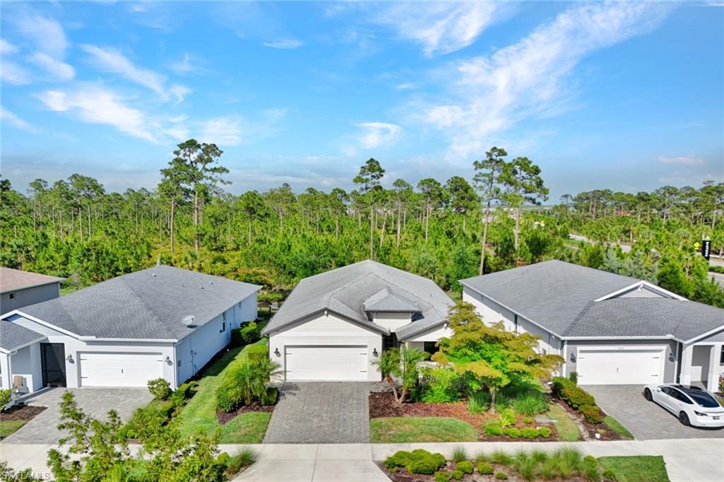 16216 Palmetto ST