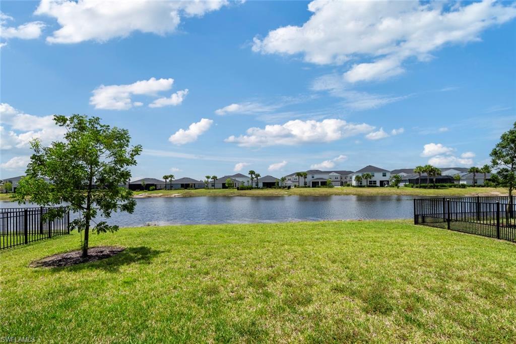 Grassy waterfront yard overlooking a lake, with a young tree and homes across the water.
