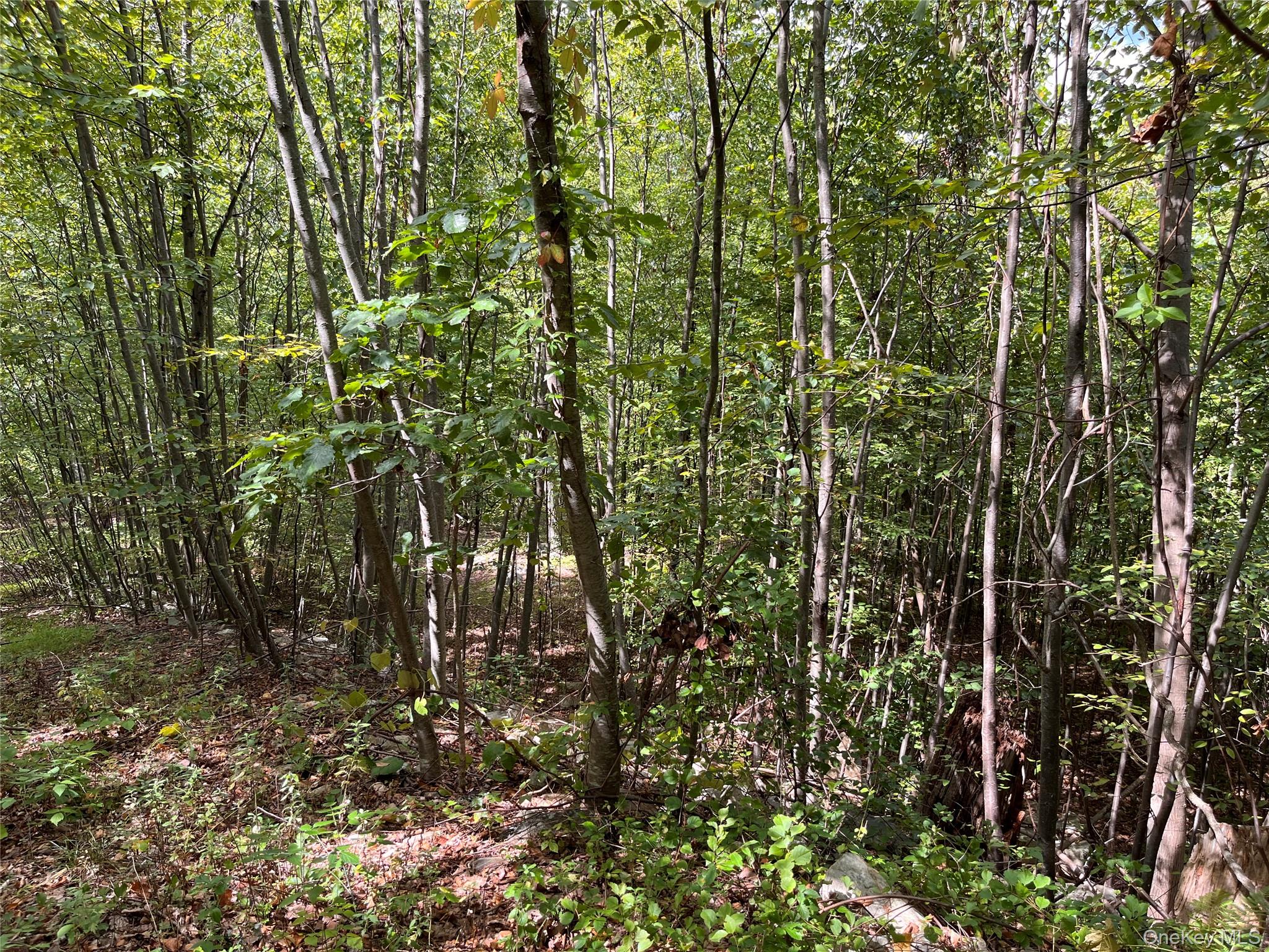 31 Ridgecrest Road