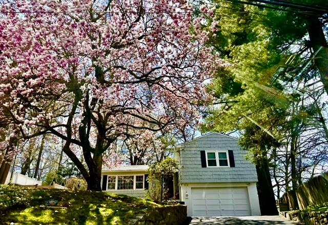42 Mount Joy Avenue