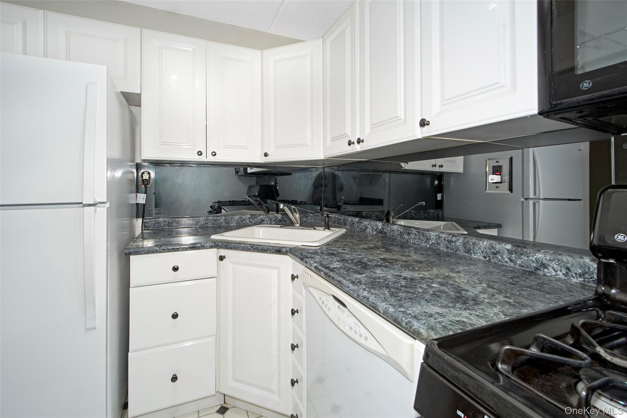 480 Halstead Avenue Unit: 4V
