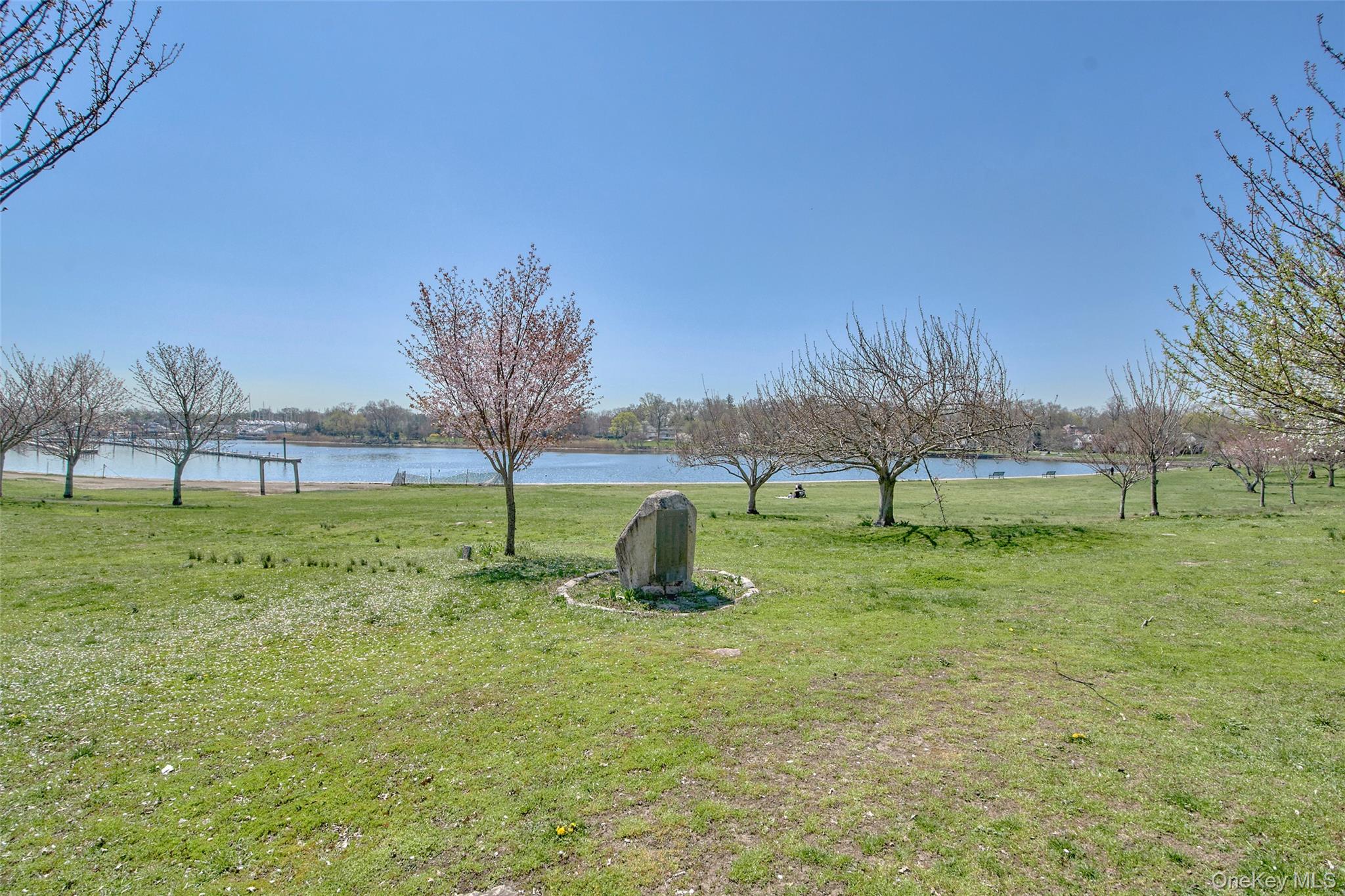 314 Livingston Avenue Unit: 203W