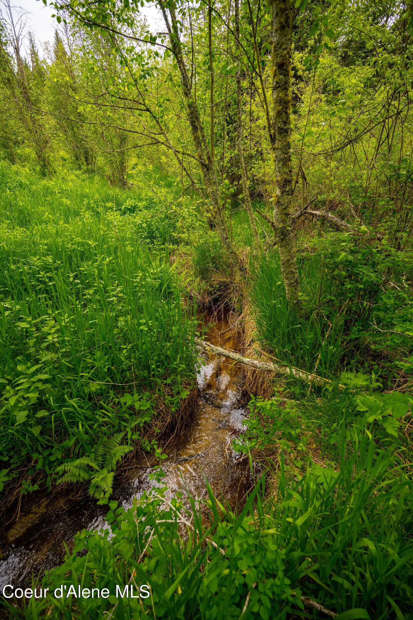 NKA Cottonwood Creek Rd