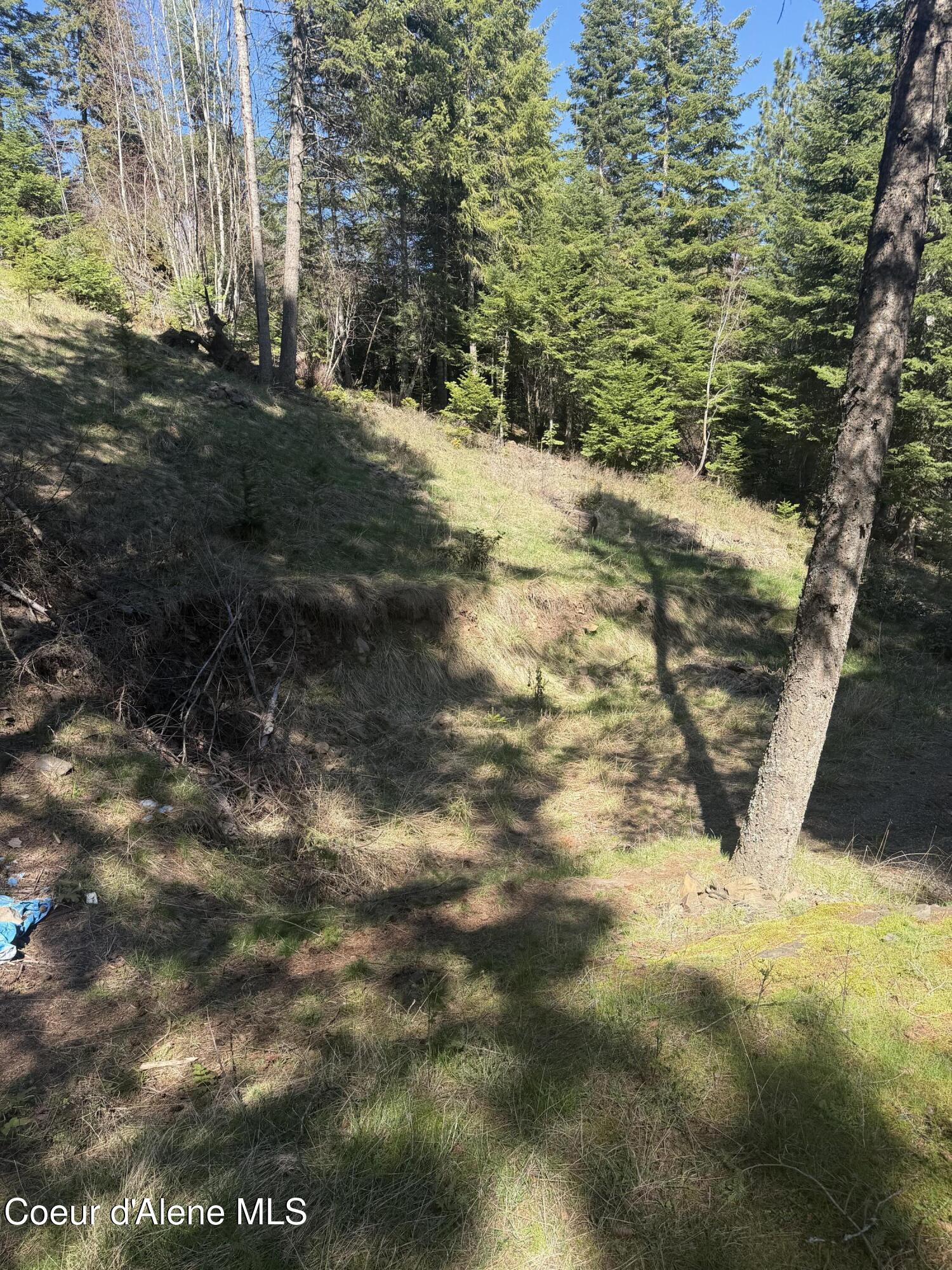 NNA S Nugget Dr, Coeur d'Alene