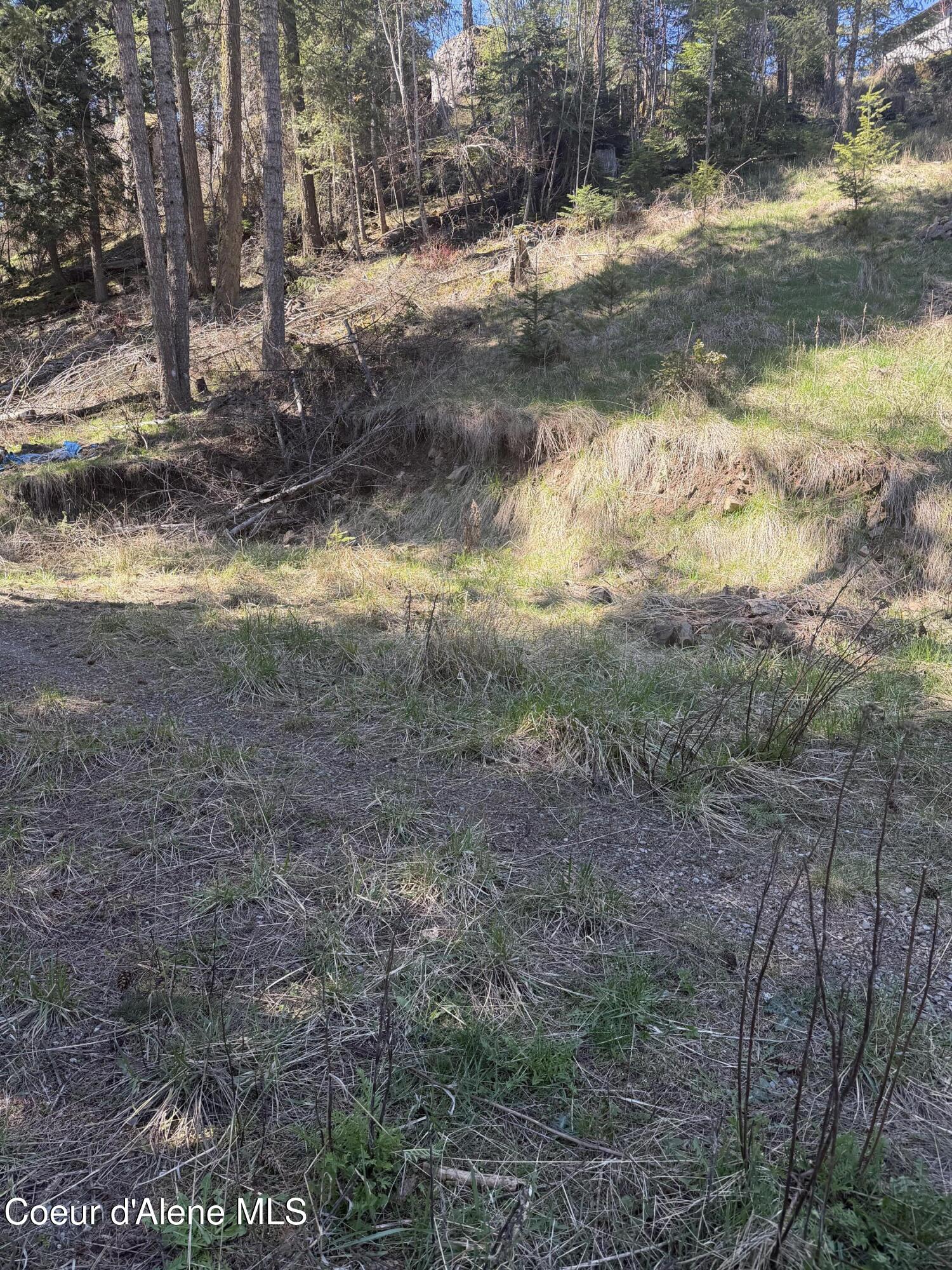 NNA S Nugget Dr, Coeur d'Alene