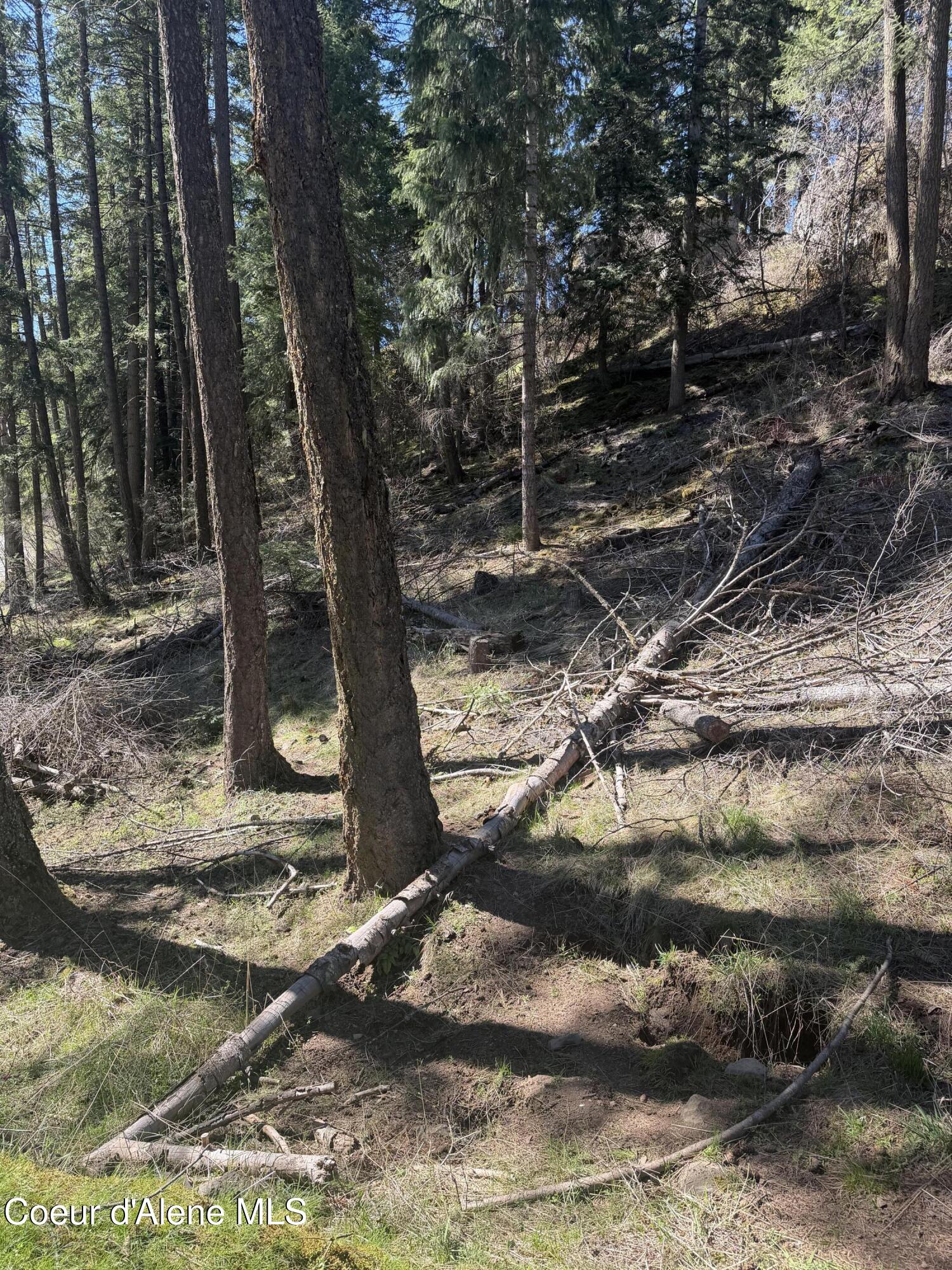 NNA S Nugget Dr, Coeur d'Alene