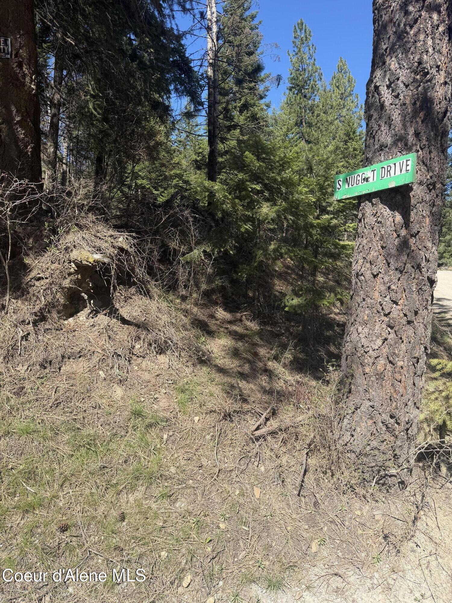 NNA S Nugget Dr, Coeur d'Alene