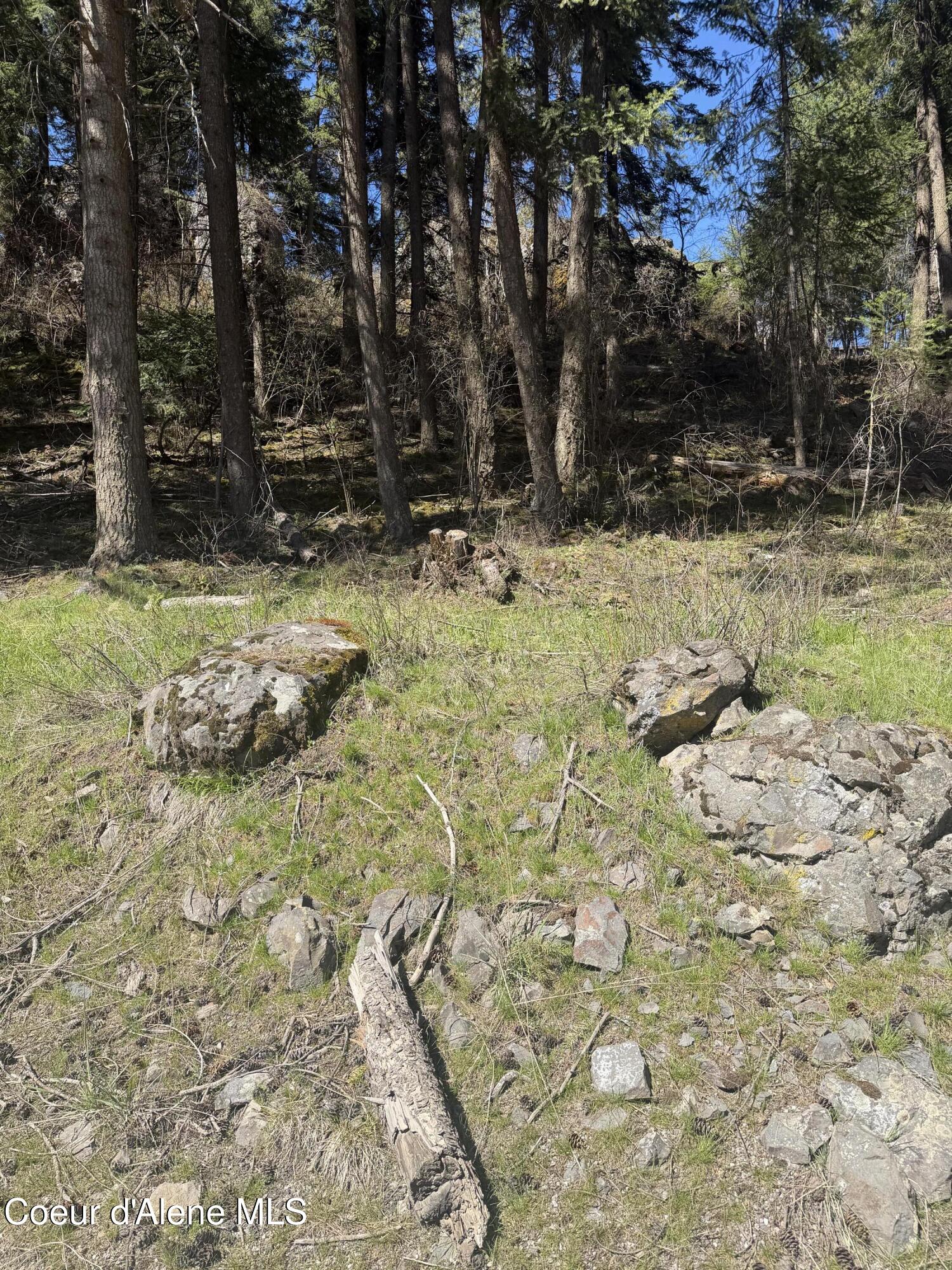 NNA S Nugget Dr, Coeur d'Alene