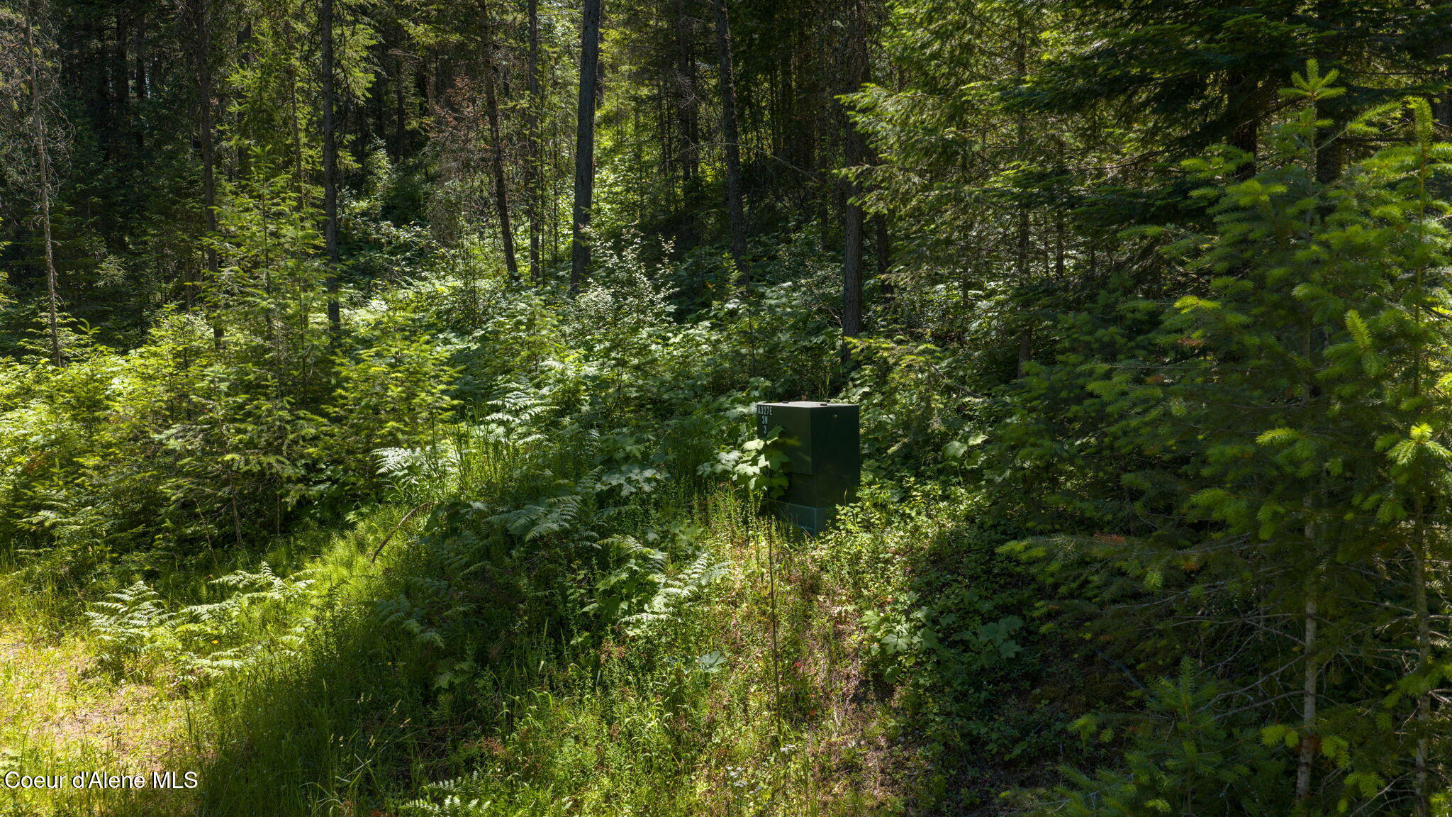 965 Trails End RD