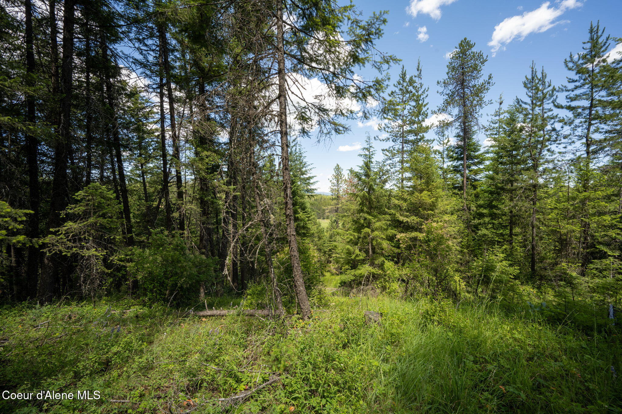 965 Trails End RD