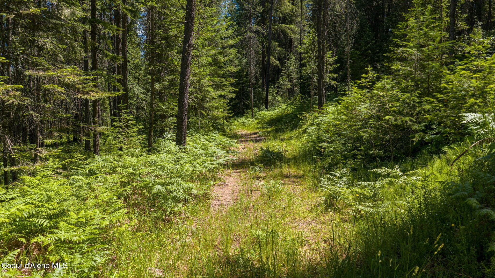 965 Trails End RD