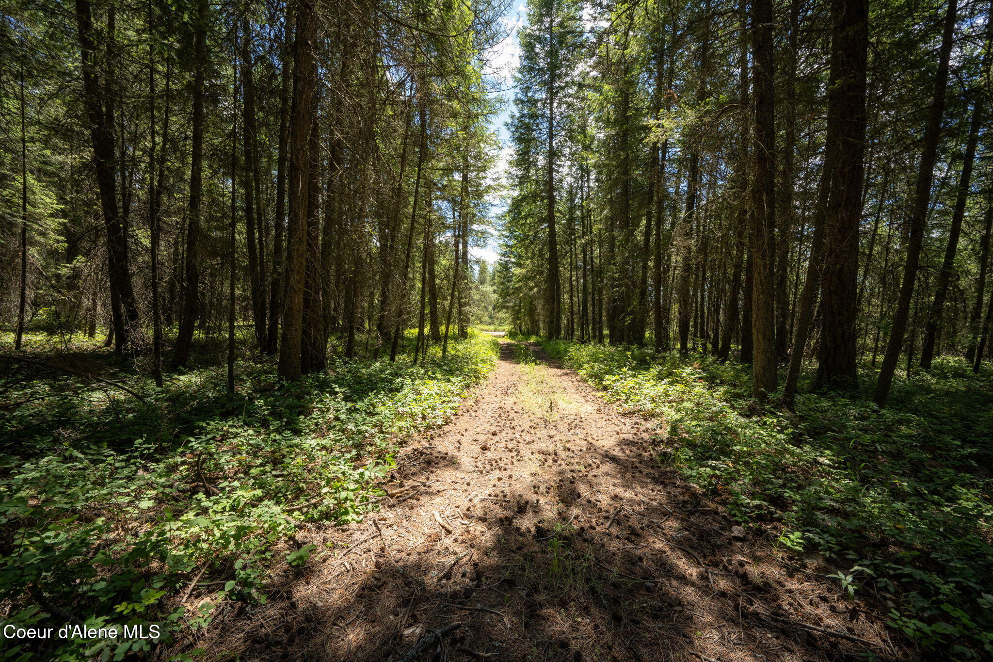 965 Trails End RD