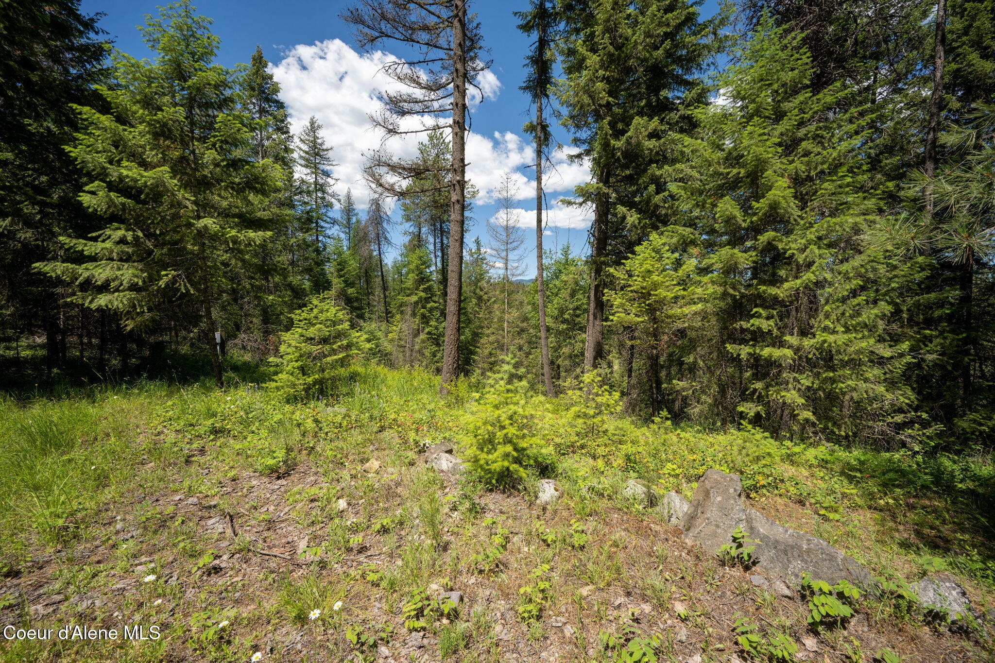 965 Trails End RD
