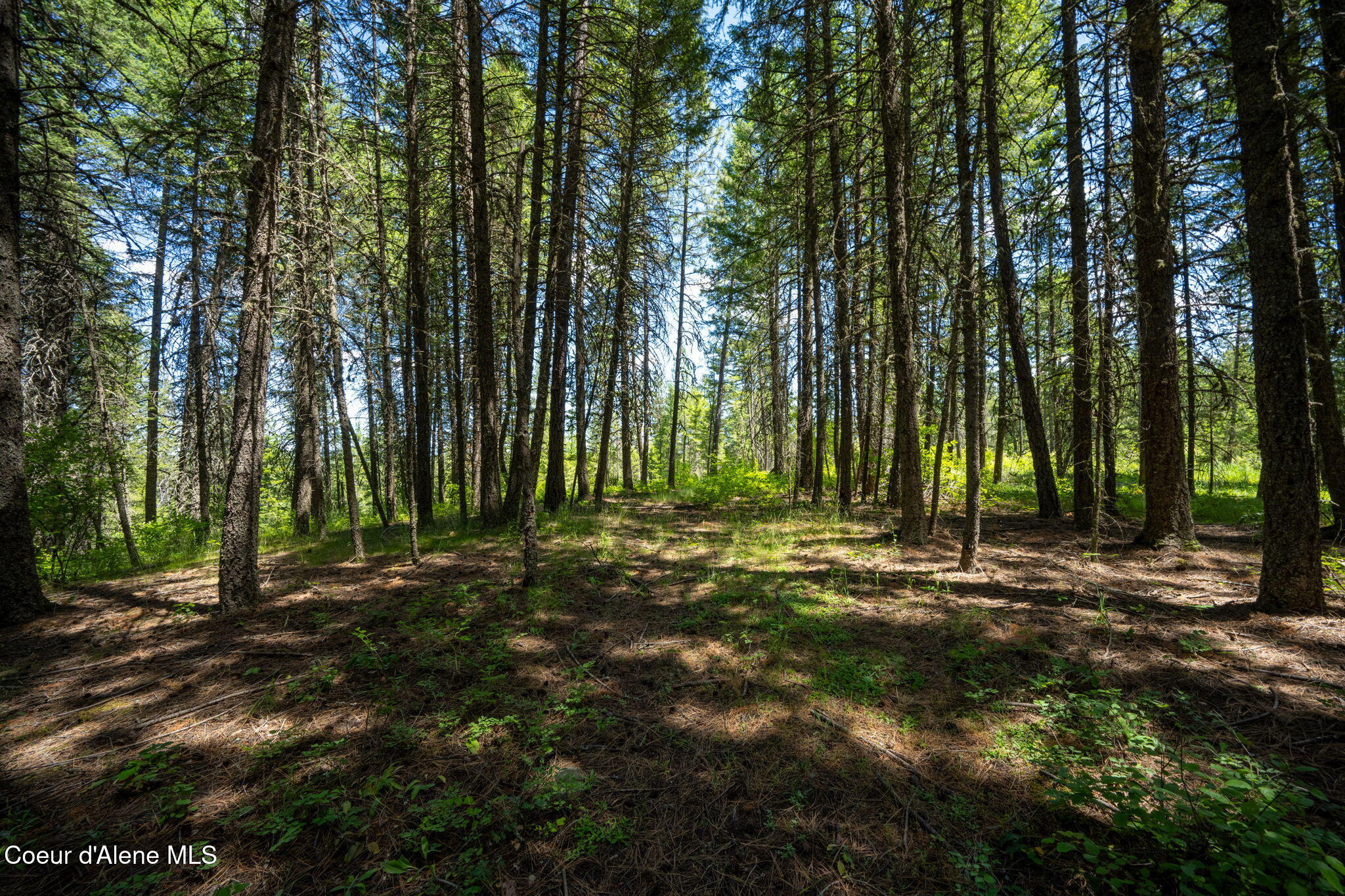 965 Trails End RD