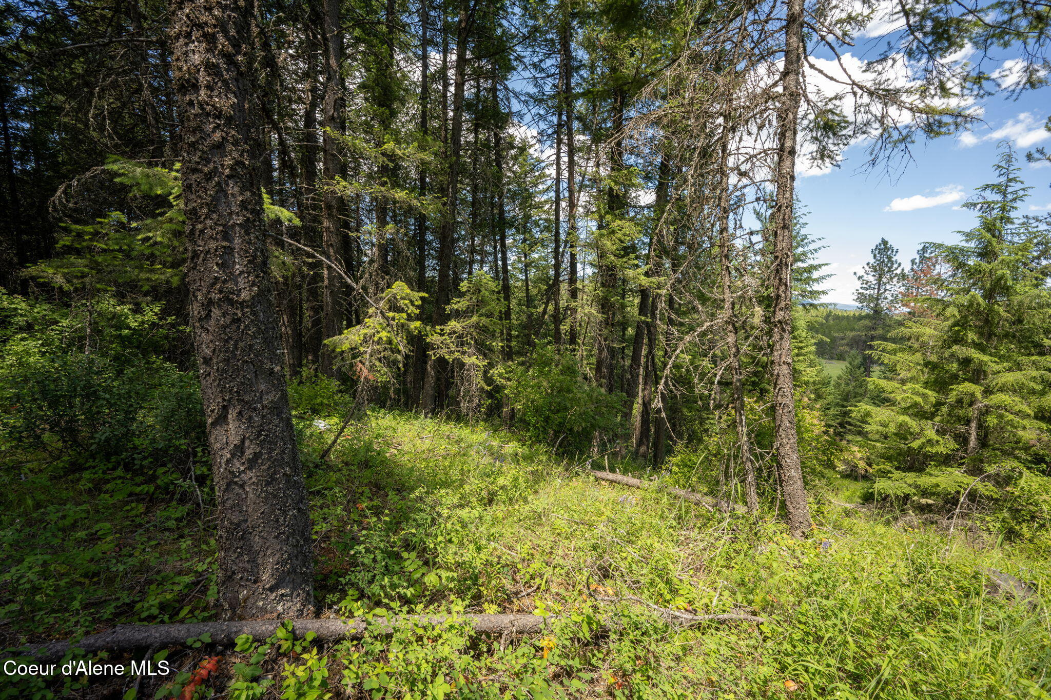965 Trails End RD