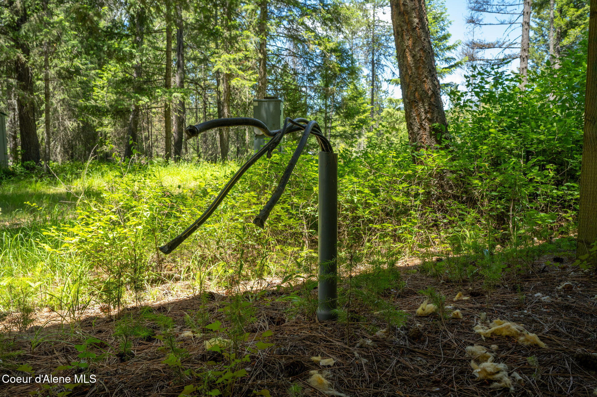 965 Trails End RD