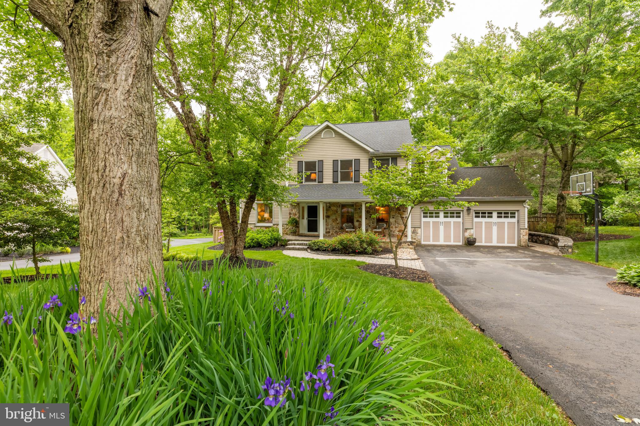 704 SPRINGCREEK COURT