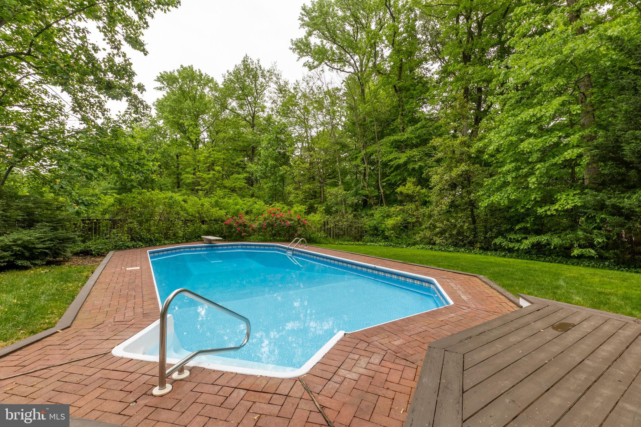 704 SPRINGCREEK COURT